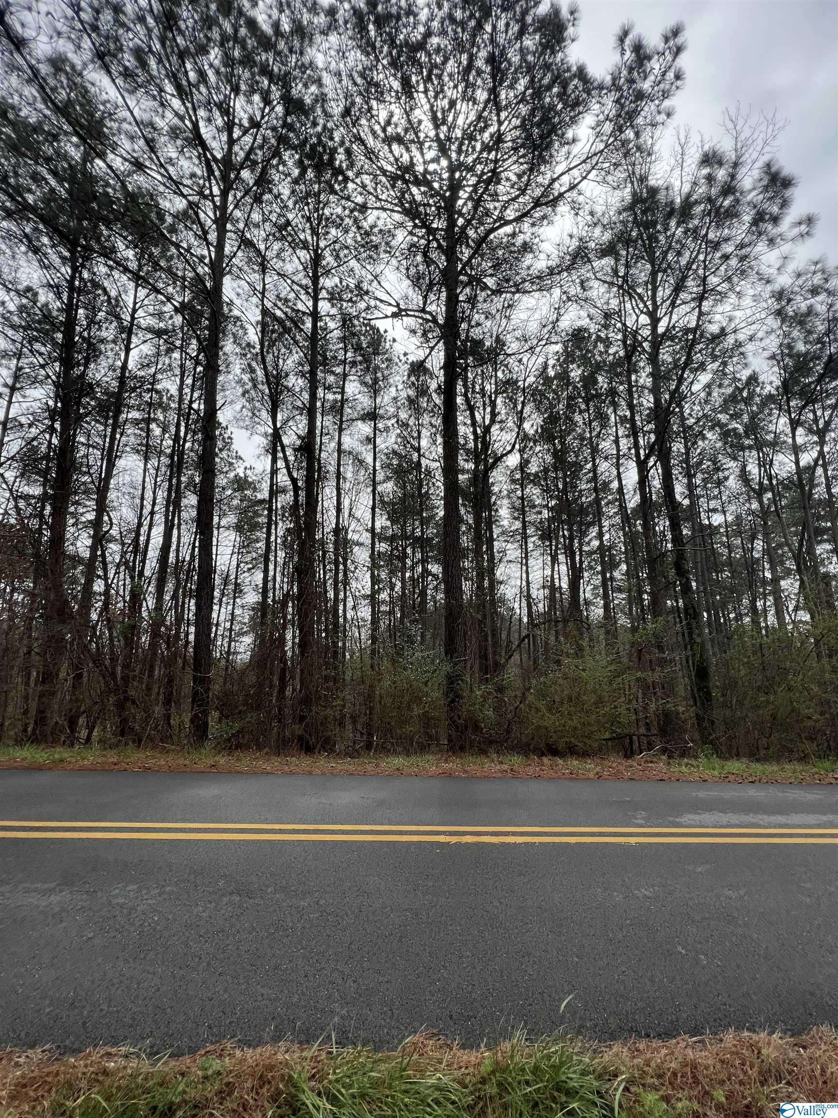 Gadsden, AL 35904,4 Acres +/- Scenic Drive