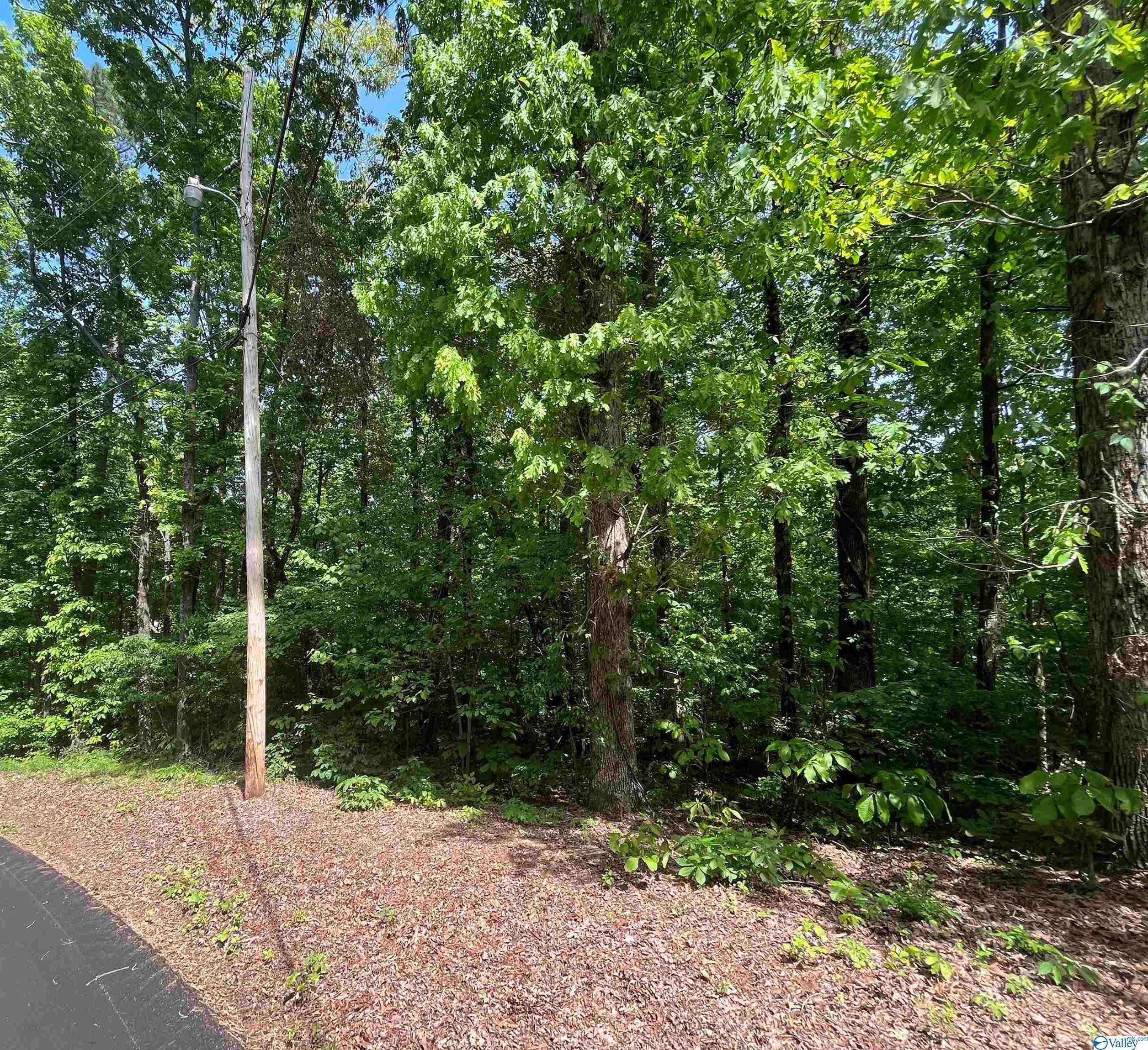 Guntersville, AL 35976,Lot 4 Cedar Lane