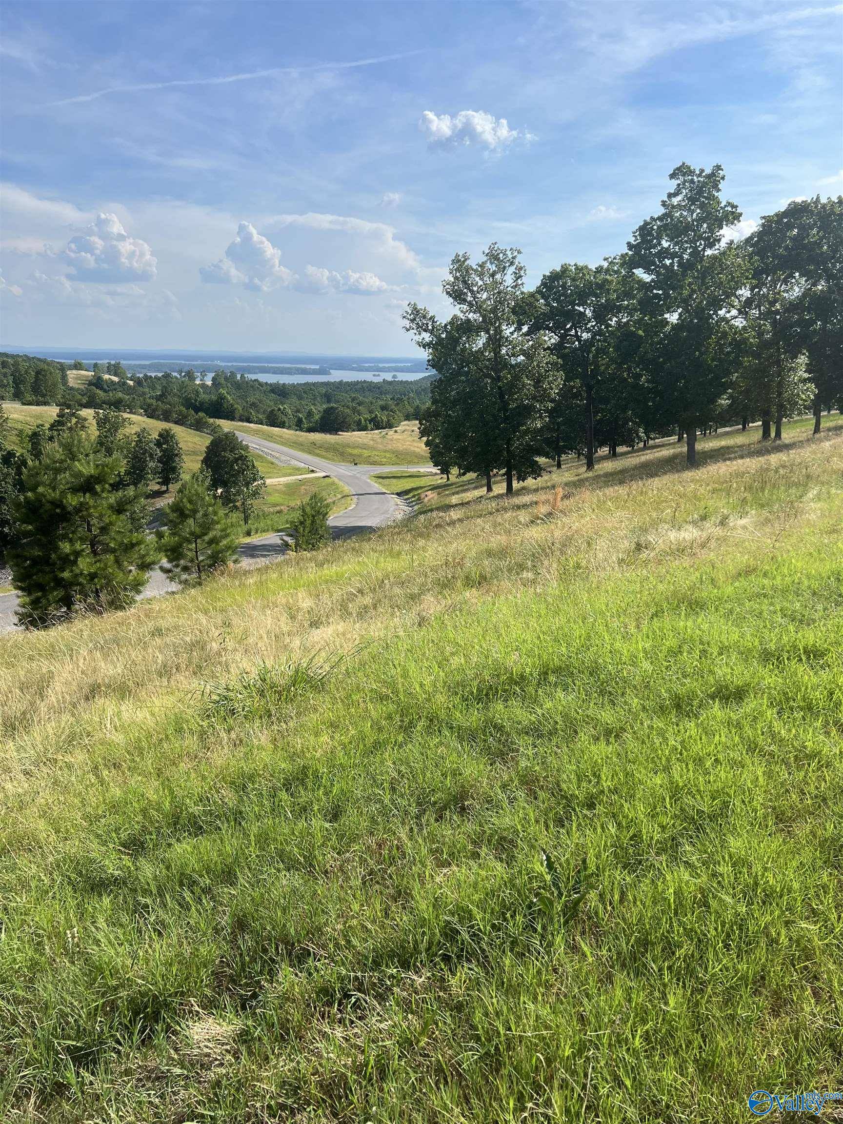 Cedar Bluff, AL 35959,Lot 215 County Road 767