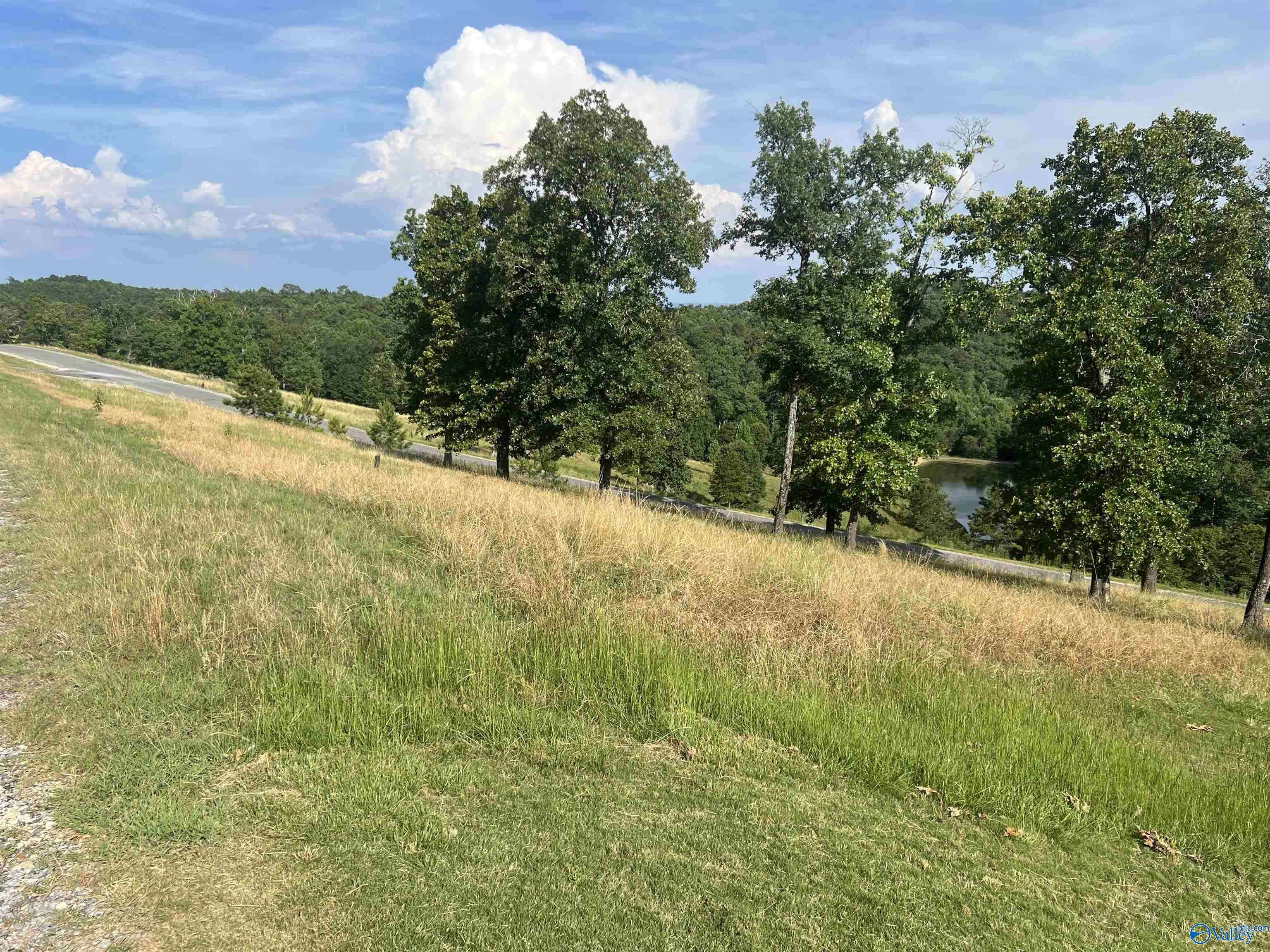 Cedar Bluff, AL 35959,Lot 215 County Road 767