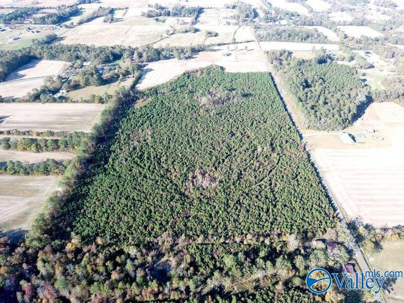 Owens Cross Roads, AL 35763,69 acres Wilson Mann Road