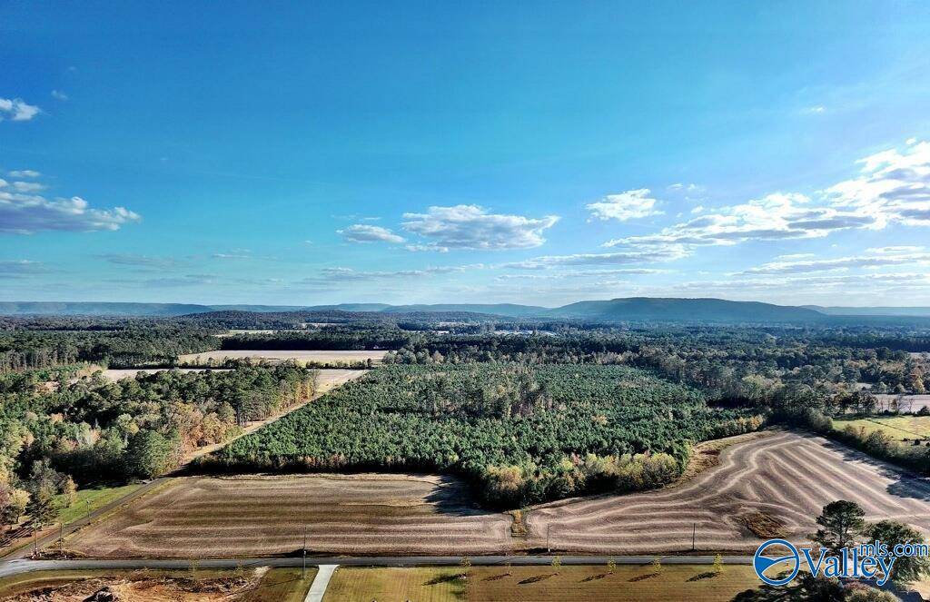 Owens Cross Roads, AL 35763,69 acres Wilson Mann Road