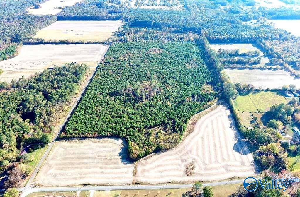 Owens Cross Roads, AL 35763,69 acres Wilson Mann Road