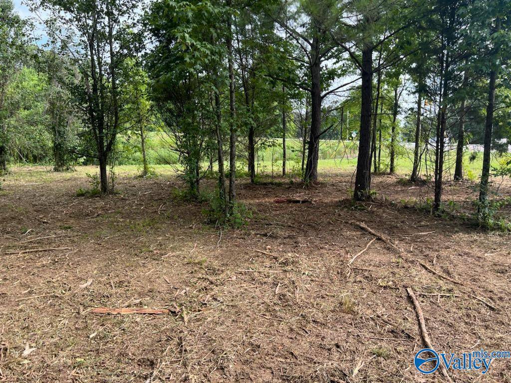 Trinity, AL 35673,7.17 acres South Greenway Drive