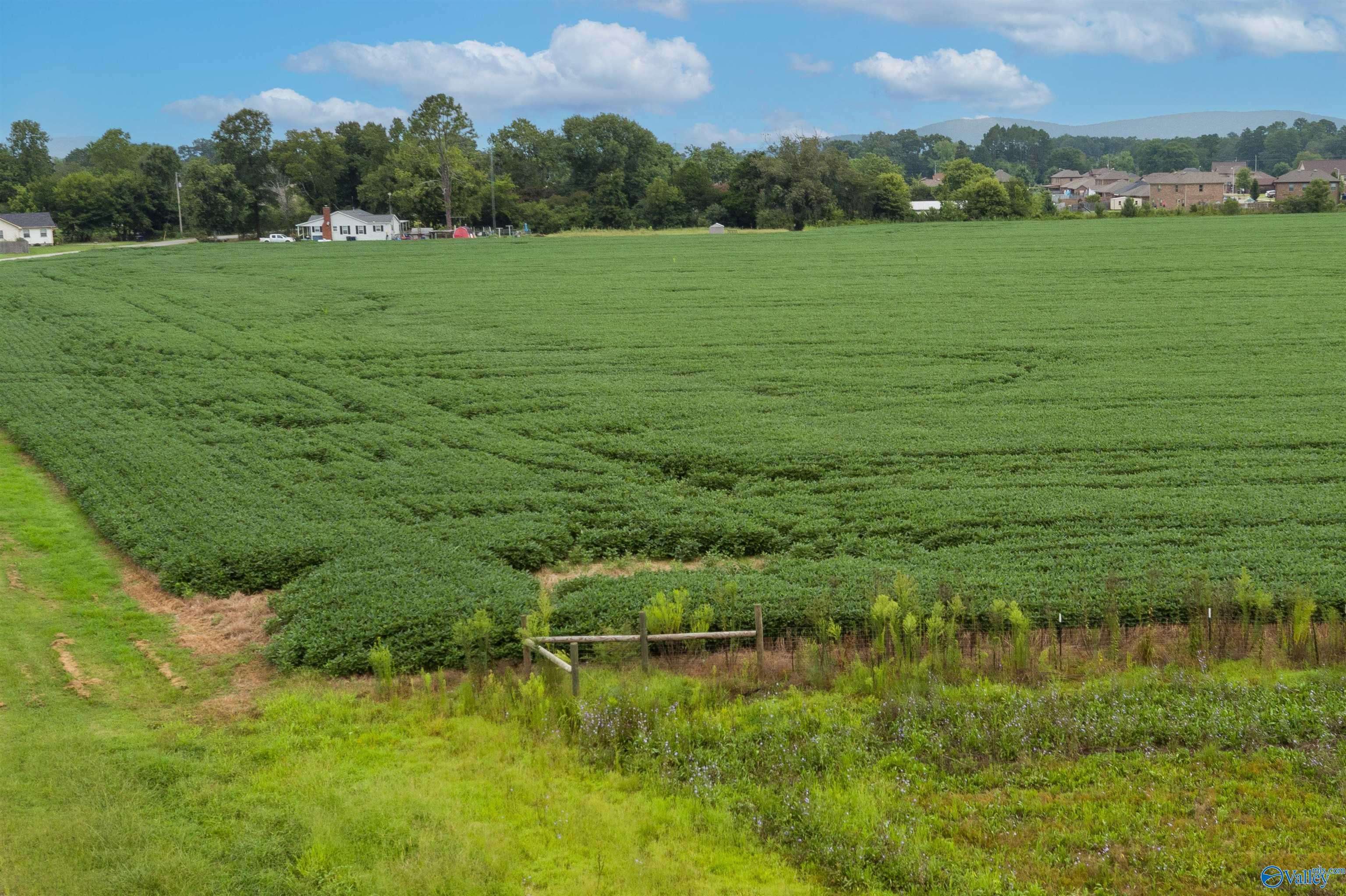 Owens Cross Roads, AL 35763,22 acres Old Hwy 431