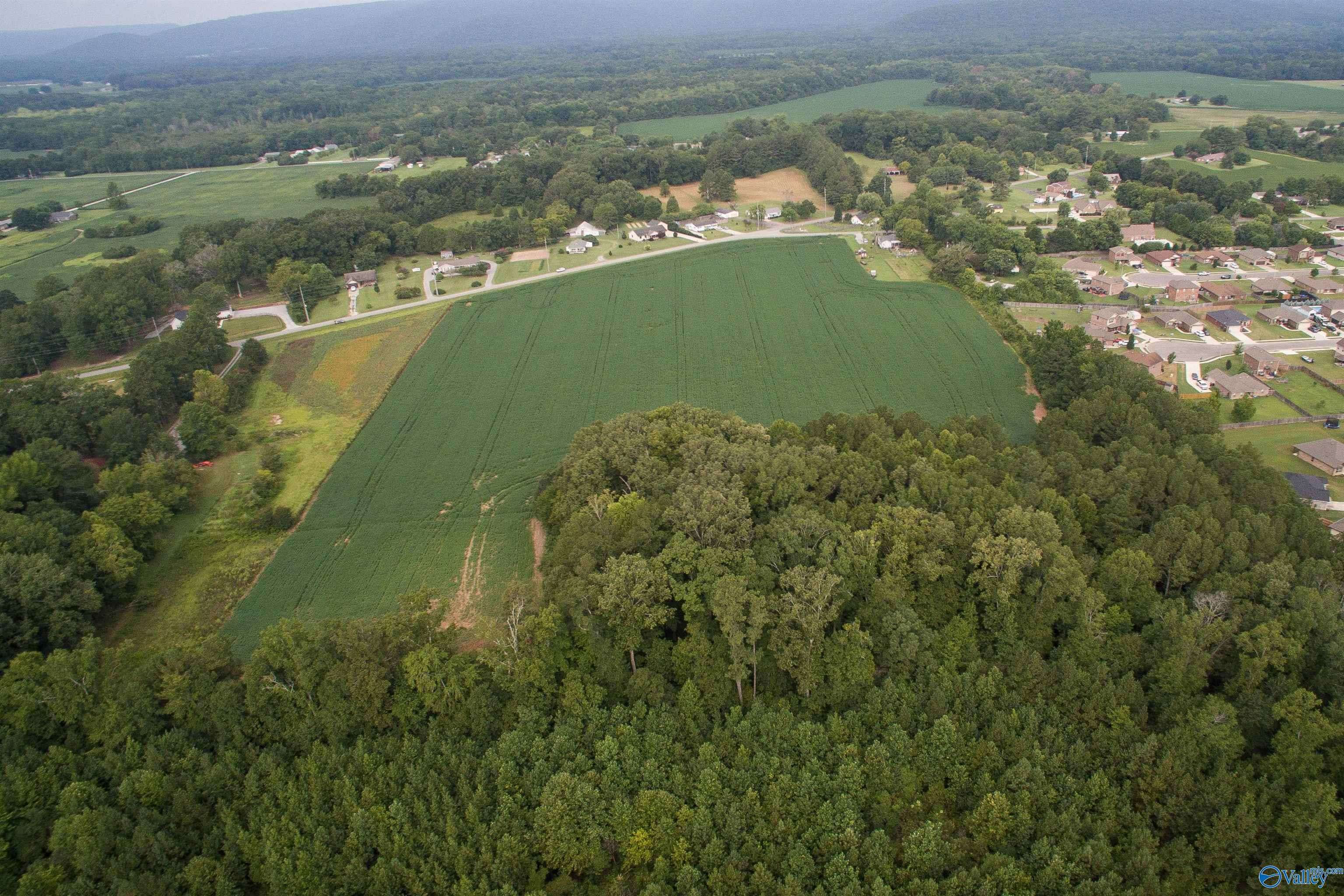 Owens Cross Roads, AL 35763,22 acres Old Hwy 431