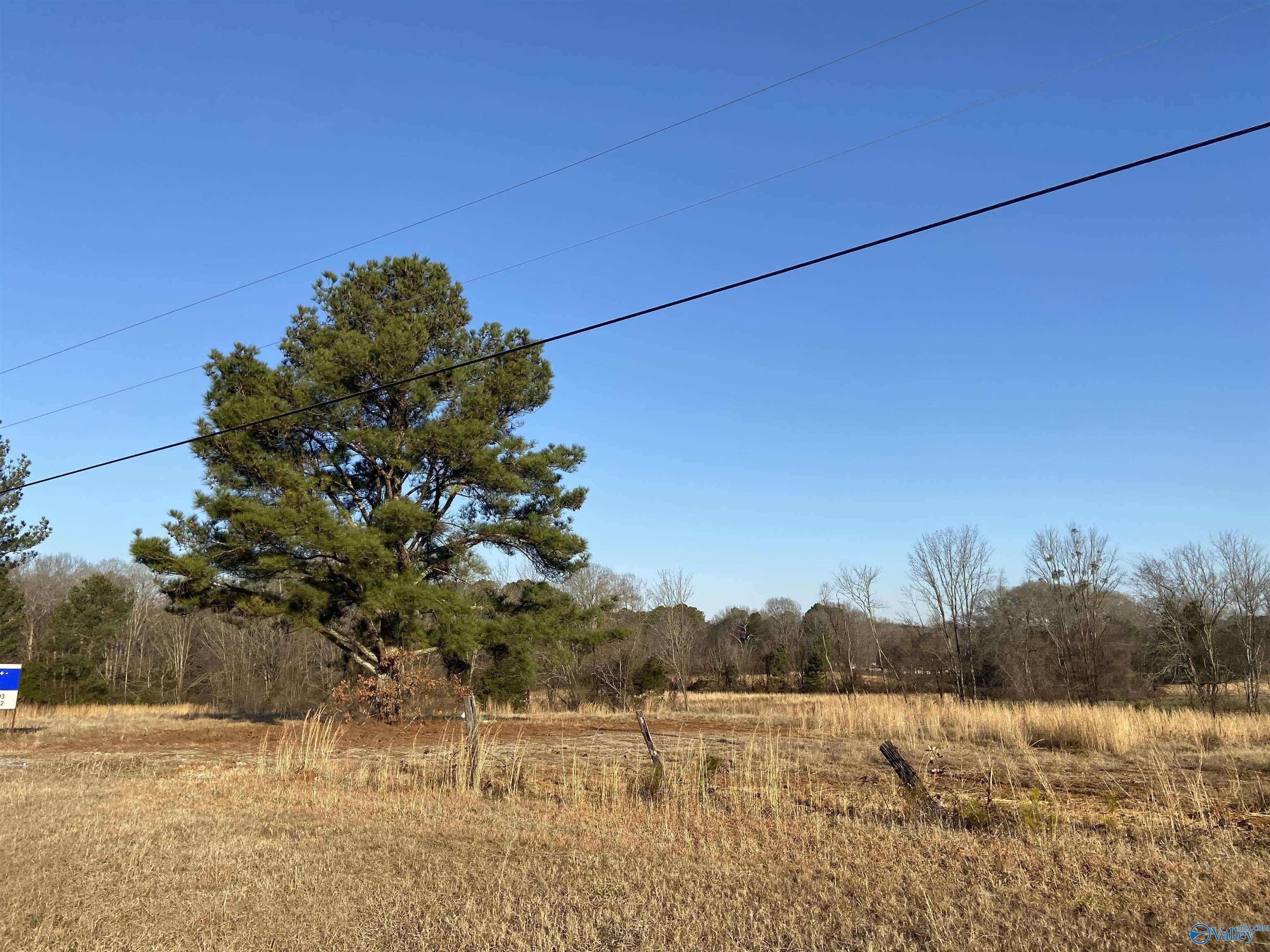 Priceville, AL 35603,0 Upper River Road