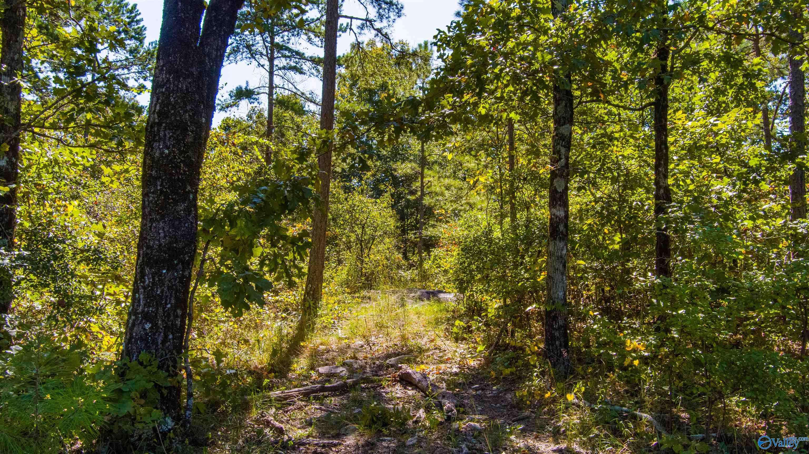 Leesburg, AL 35983,3000 County Road 70