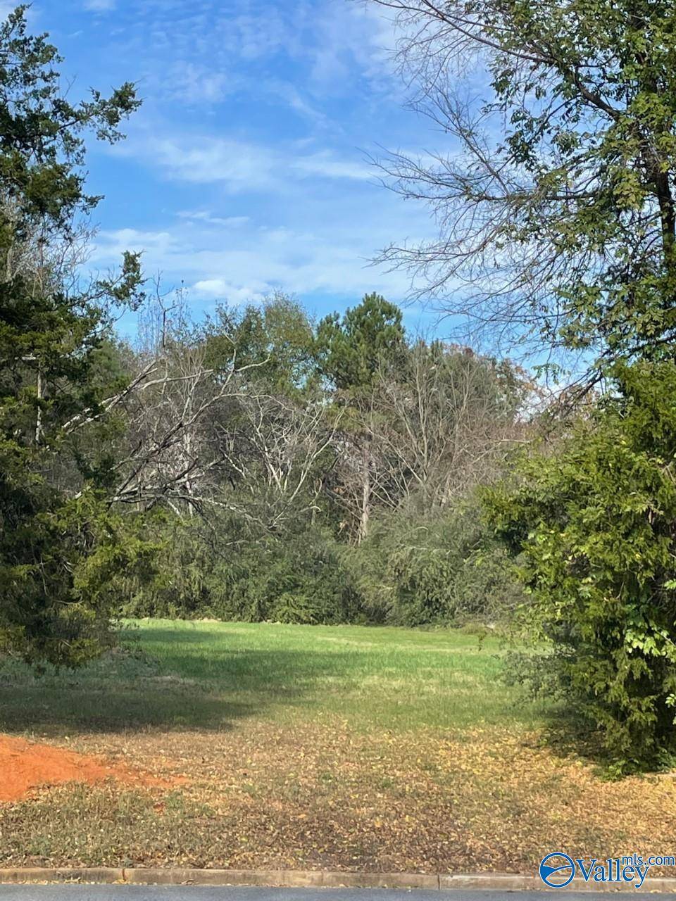 Moulton, AL 35650,Lot Byler Road