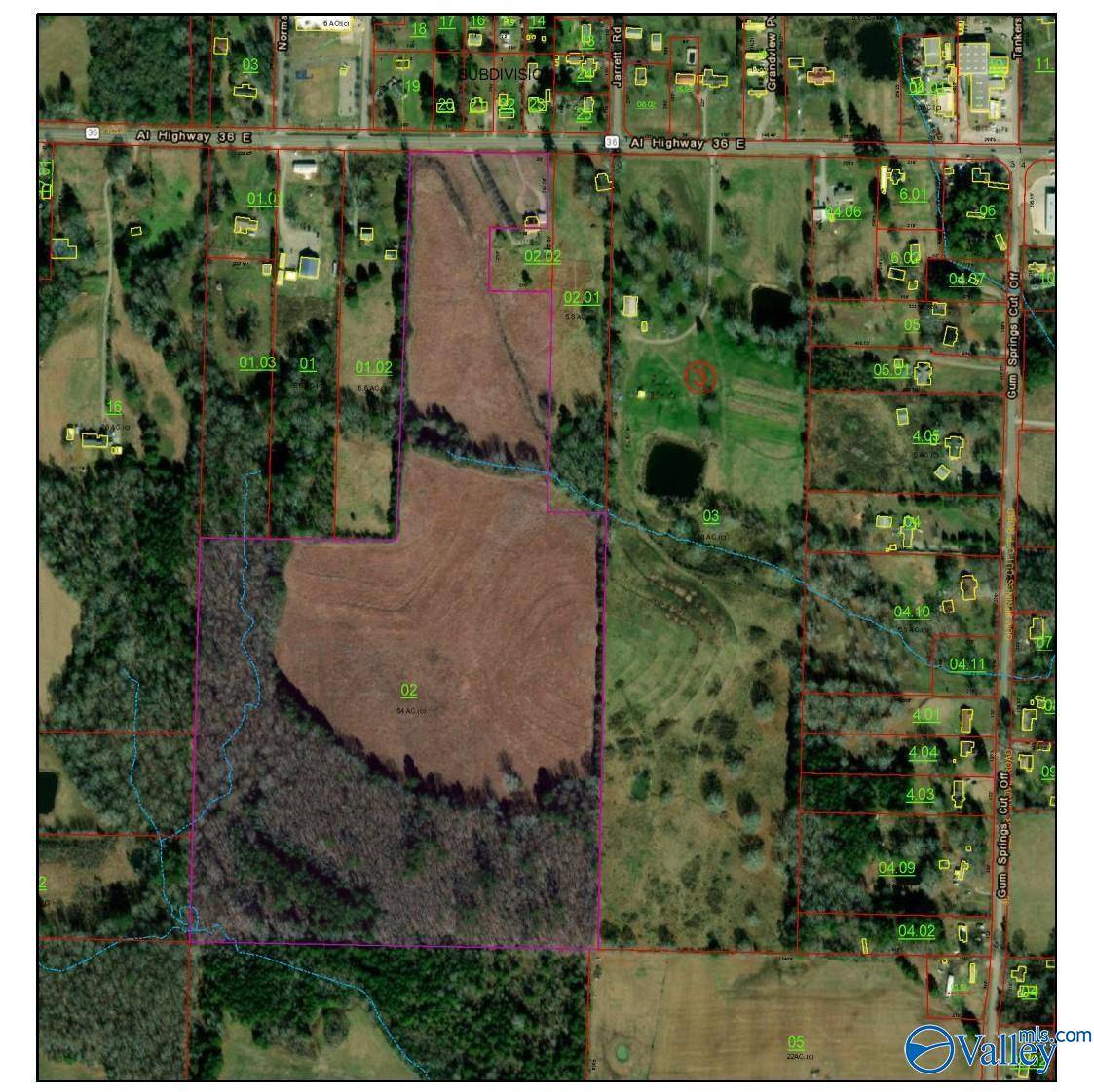 Hartselle, AL 35640,54 Acres Highway 36