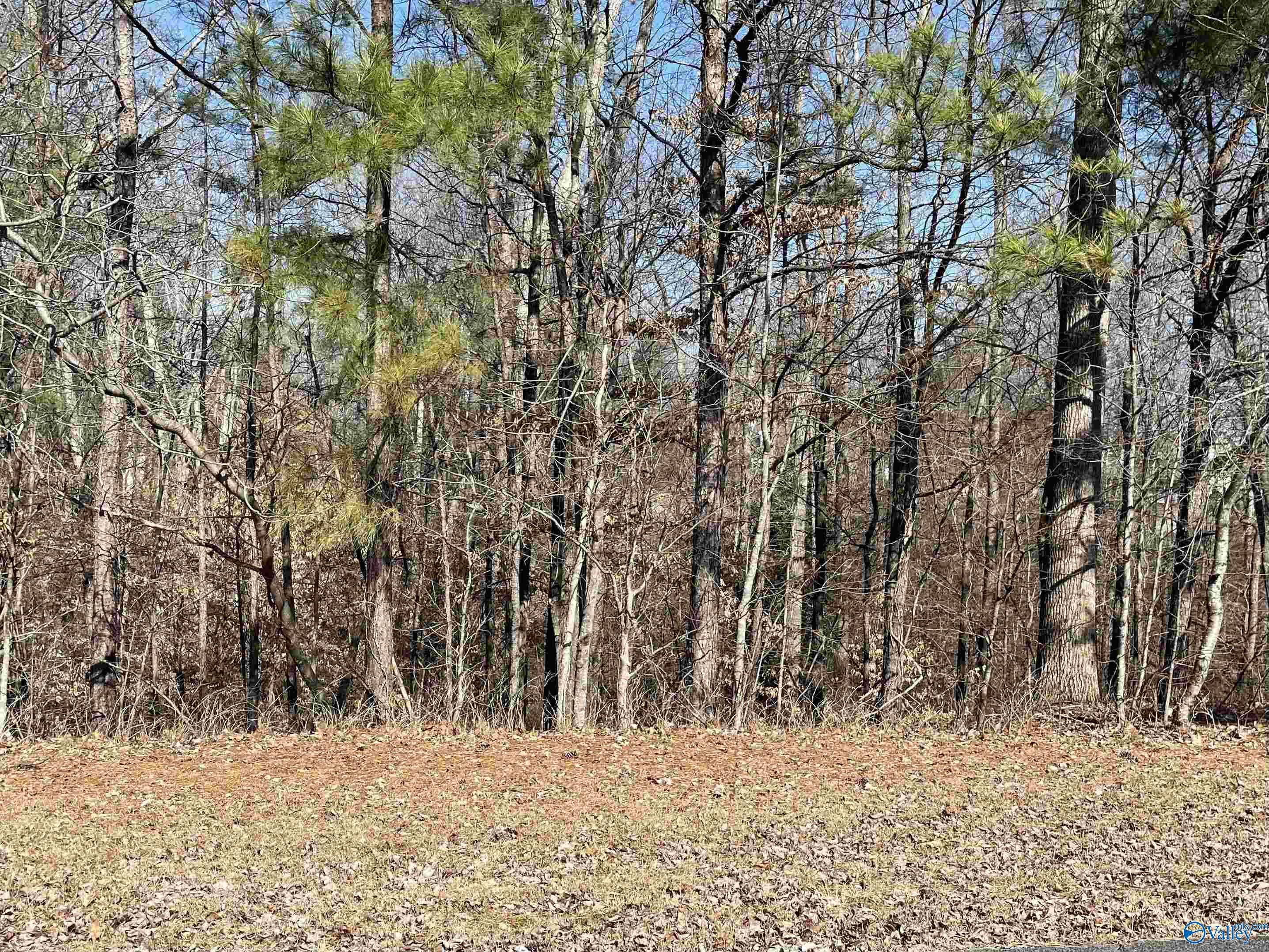 Guntersville, AL 35976,Lot 19 Lot 19 Deer Walk