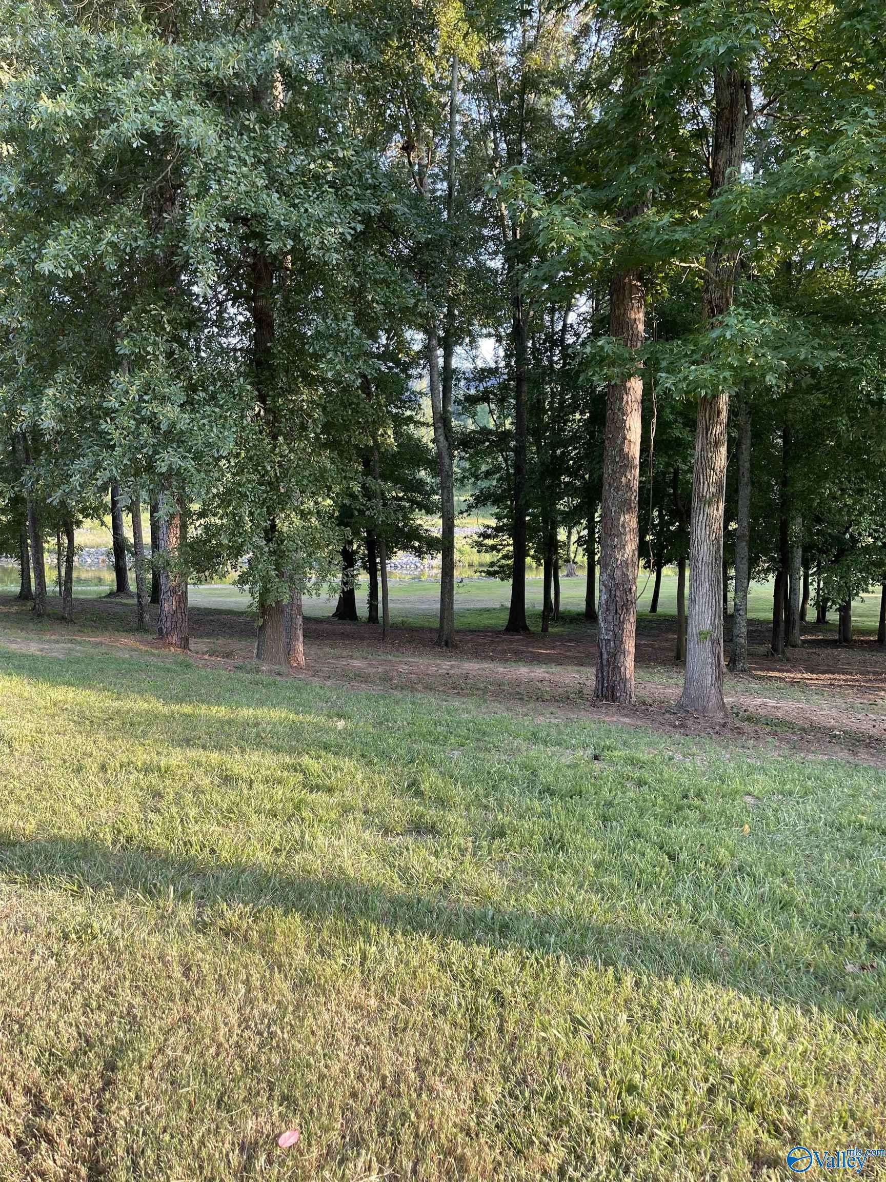 Guntersville, AL 35976,lot402 Colonial Drive