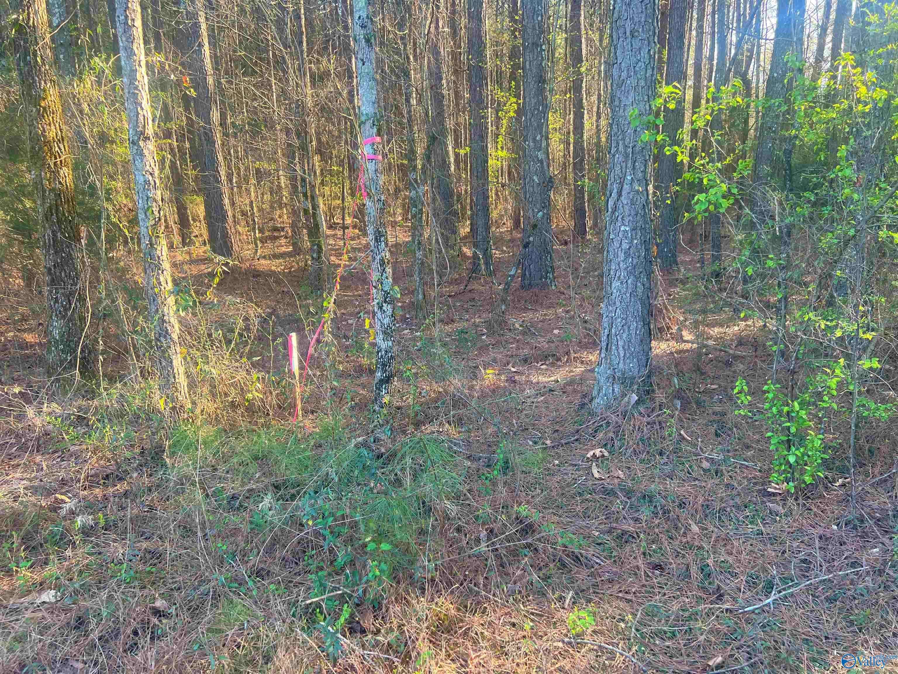 Cedar Bluff, AL 35959,Lot 2 Summer Breeze Drive