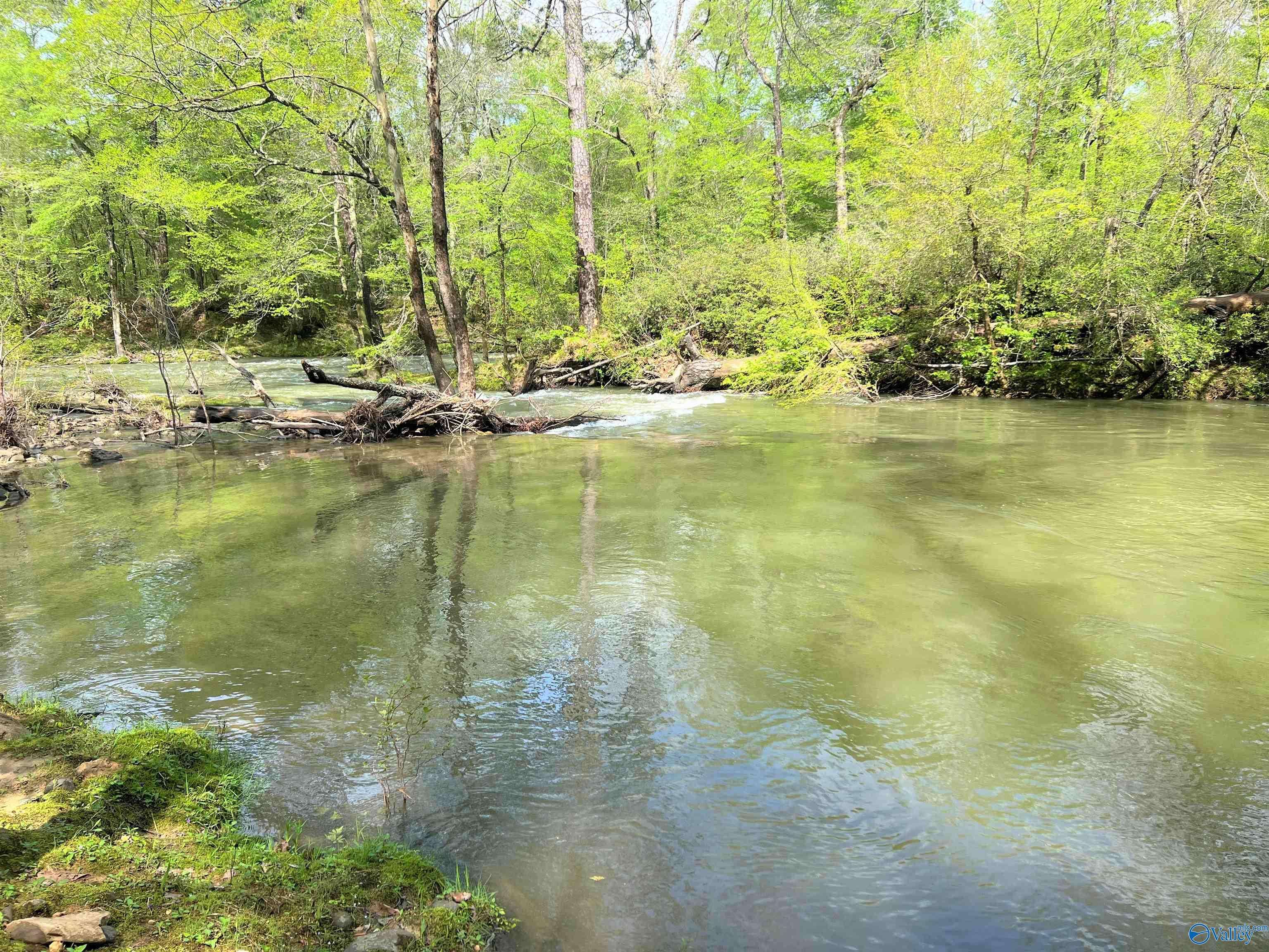 Cedar Bluff, AL 35959,Lot 10 County Road 137