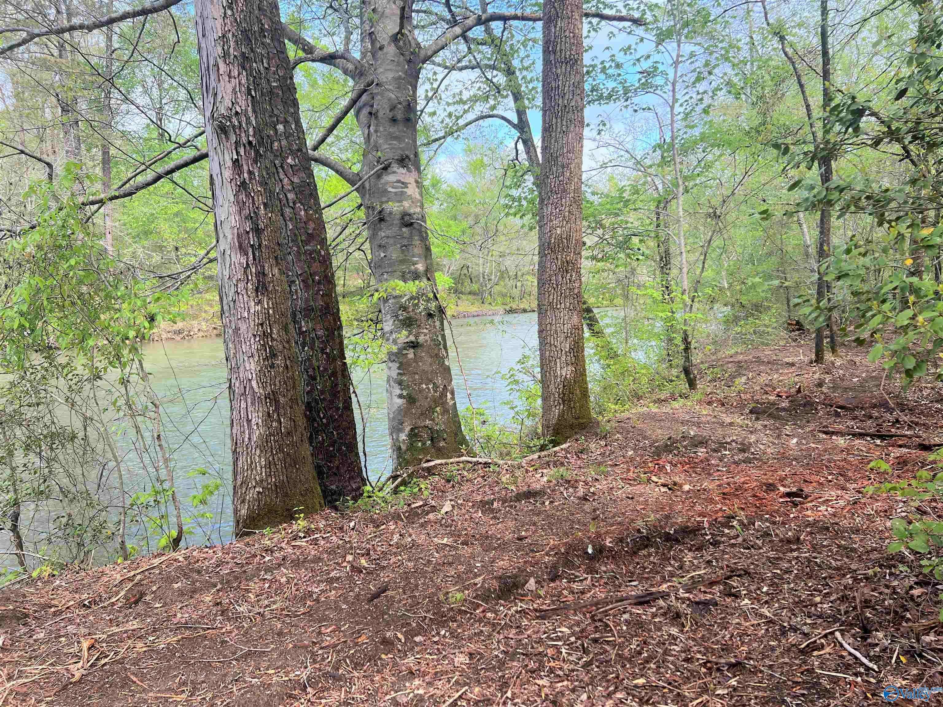 Cedar Bluff, AL 35959,Lot 10 County Road 137