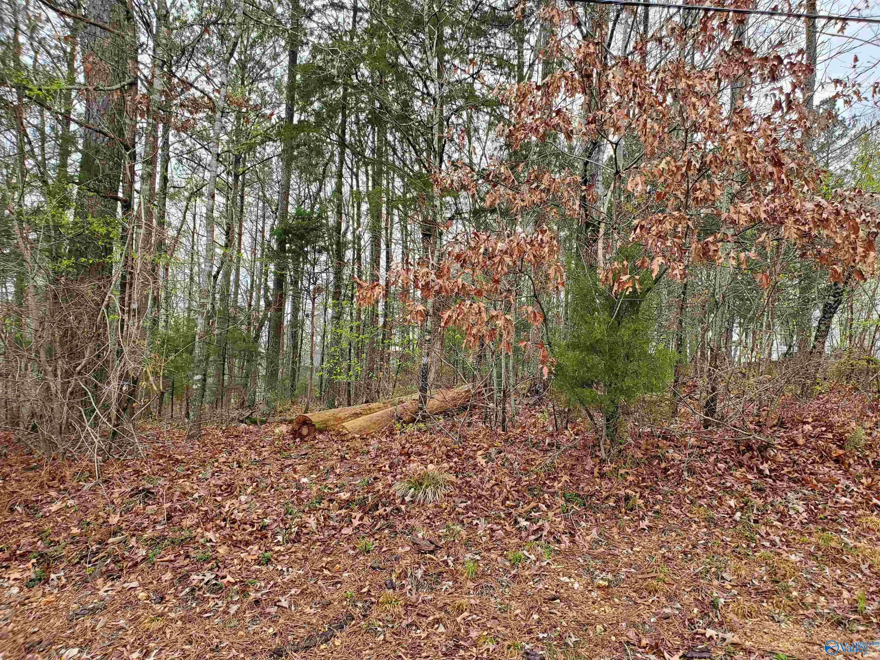 Scottsboro, AL 35769,lot 72 Hillcrest Drive