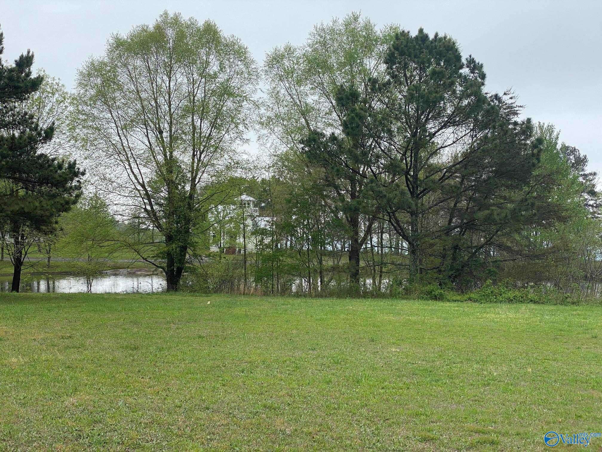 Pisgah, AL 35765,Lot 302 Main Street