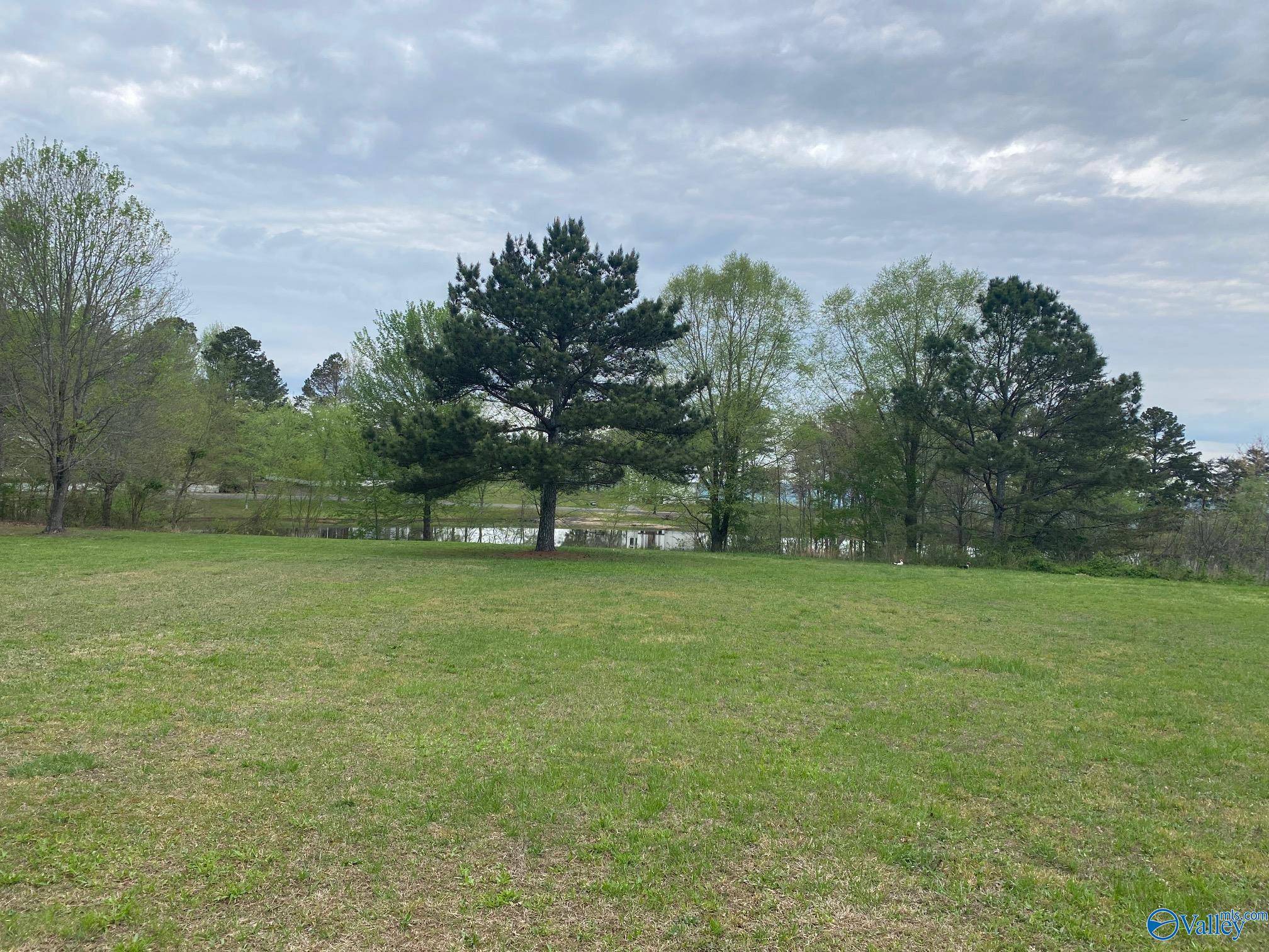 Pisgah, AL 35765,Lot 302 Main Street