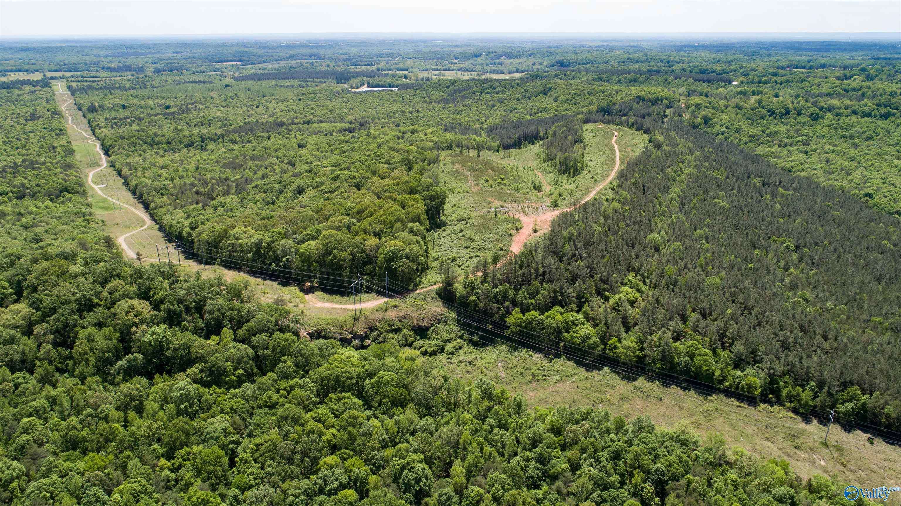 Town Creek, AL 35672,110+/- ACRES County Road 262