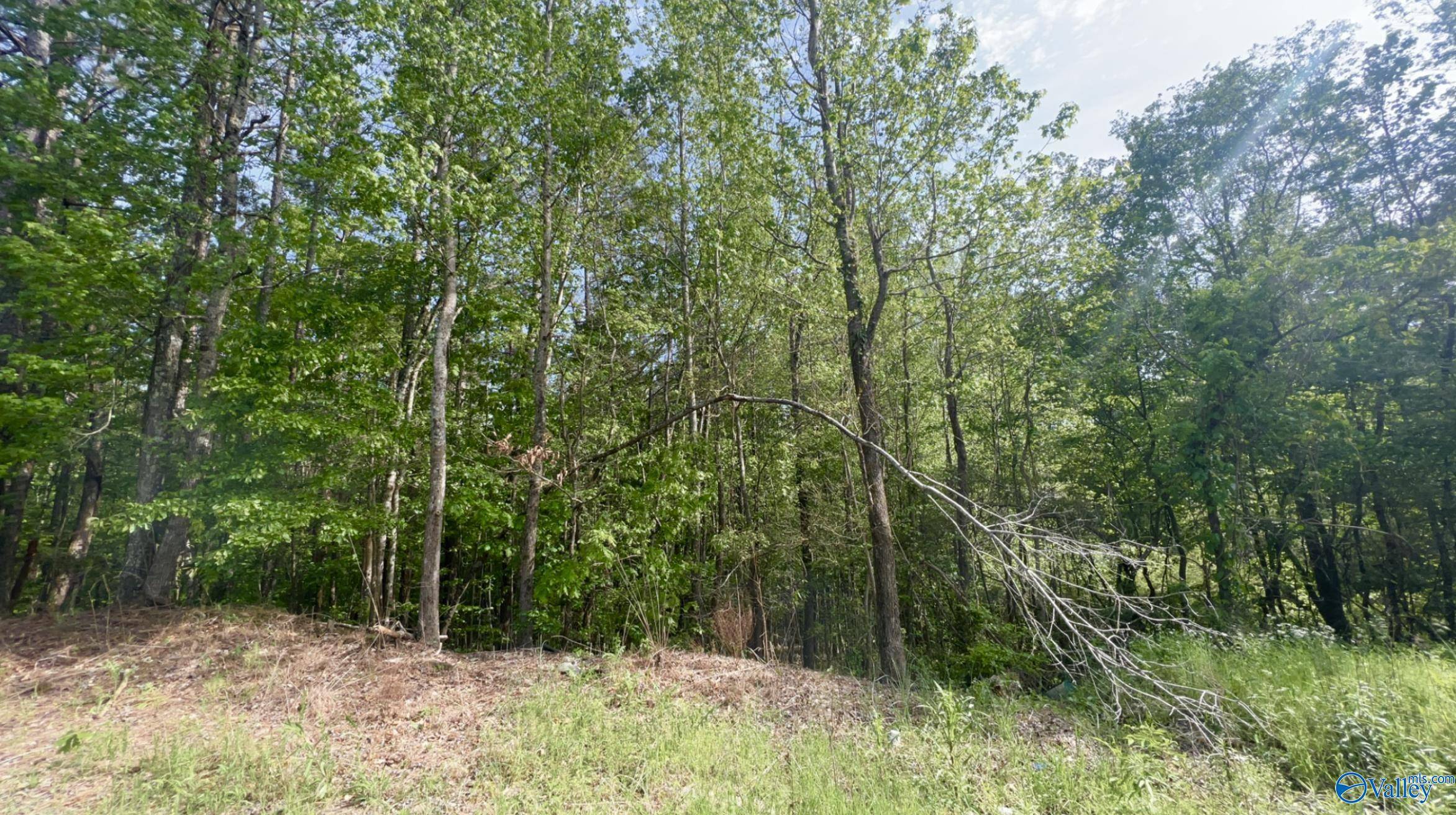 Haleyville, AL 35565,1 ACRE Hickory Avenue