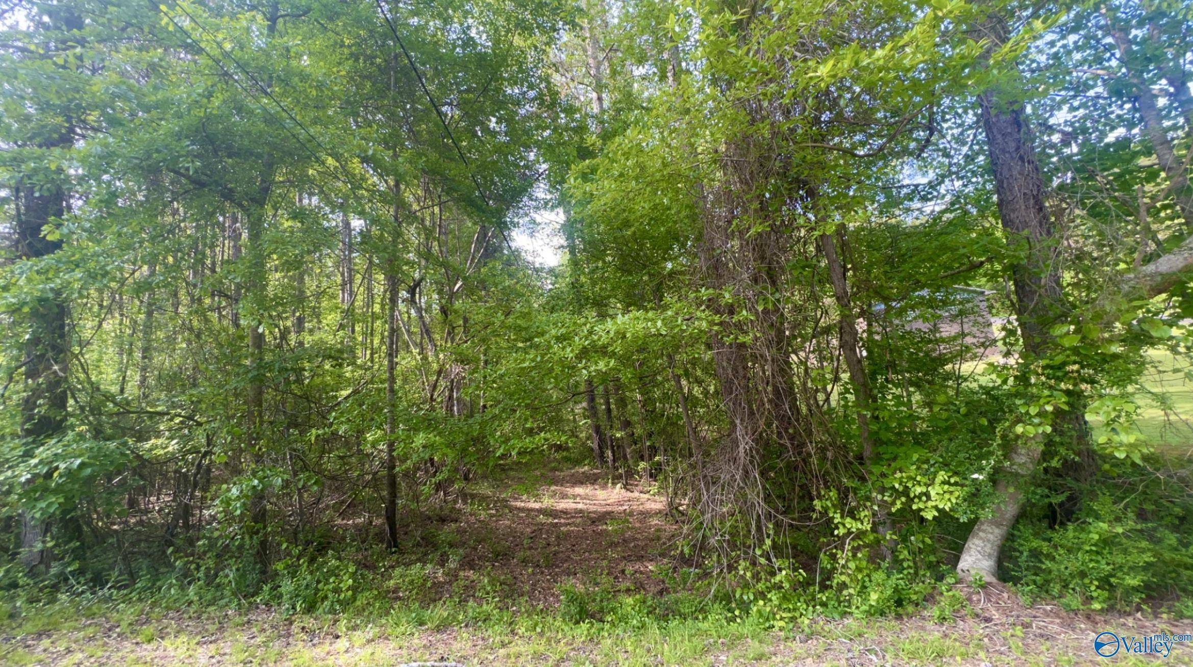 Haleyville, AL 35565,Lot 40 Hickory Avenue