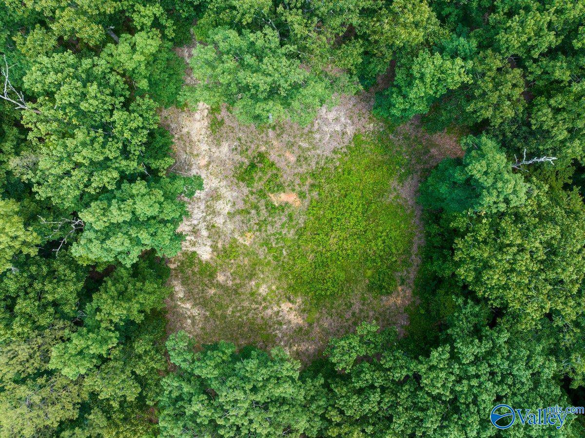Union Grove, AL 35175,105 South Ridge Drive