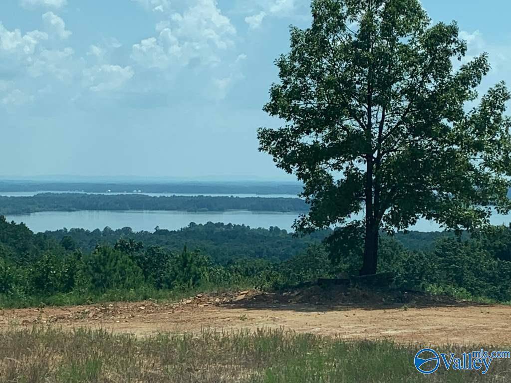 Cedar Bluff, AL 35959,Lot 213 County Road 1022 ##213