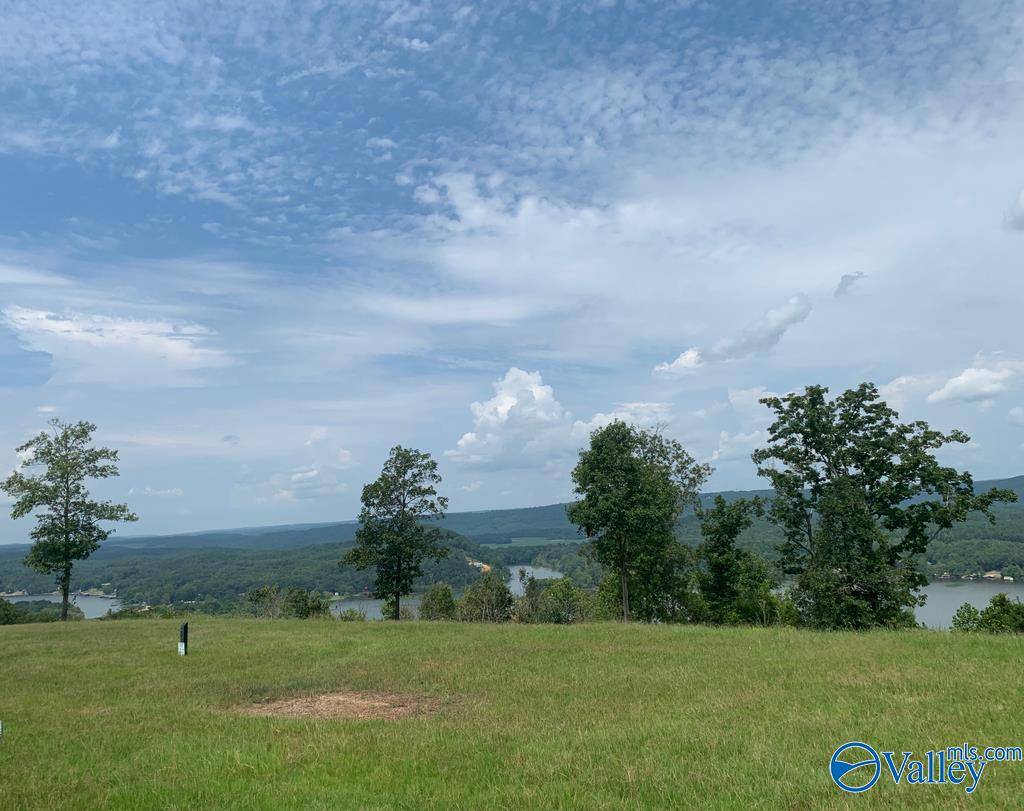 Cedar Bluff, AL 35959,Lot 213 County Road 1022 ##213