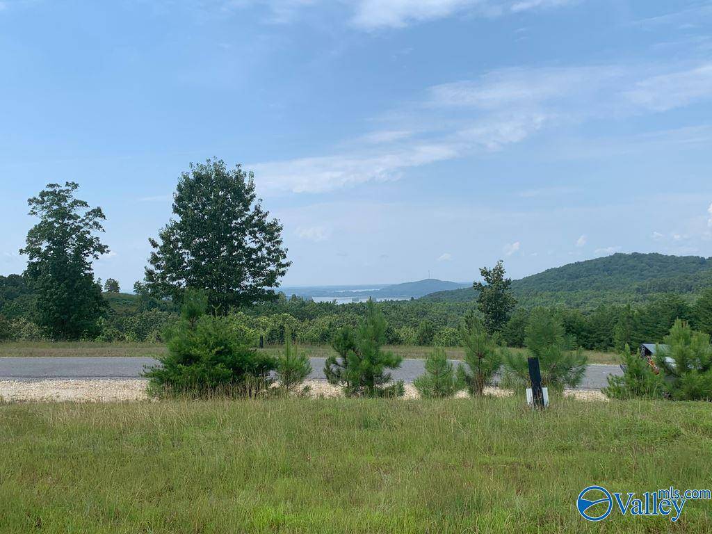 Cedar Bluff, AL 35959,Lot 214 County Road 1022 ##214