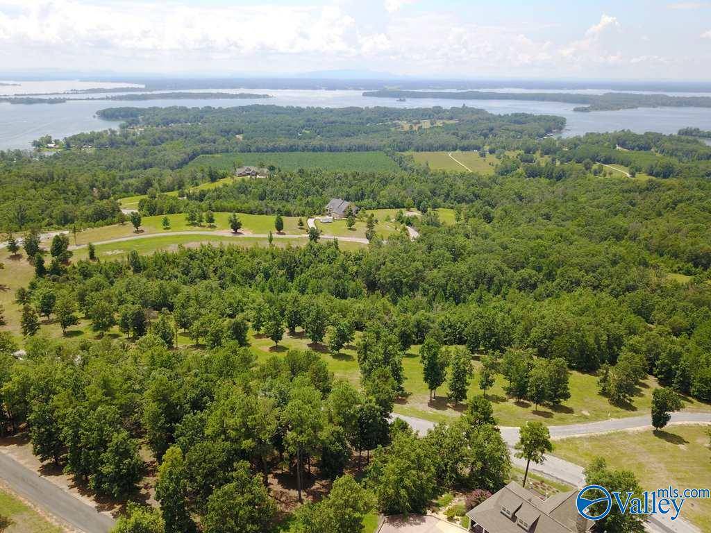 Cedar Bluff, AL 35959,Lot 214 County Road 1022 ##214