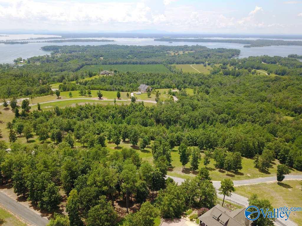 Cedar Bluff, AL 35959,Lot 218 County Road 1022 ##218