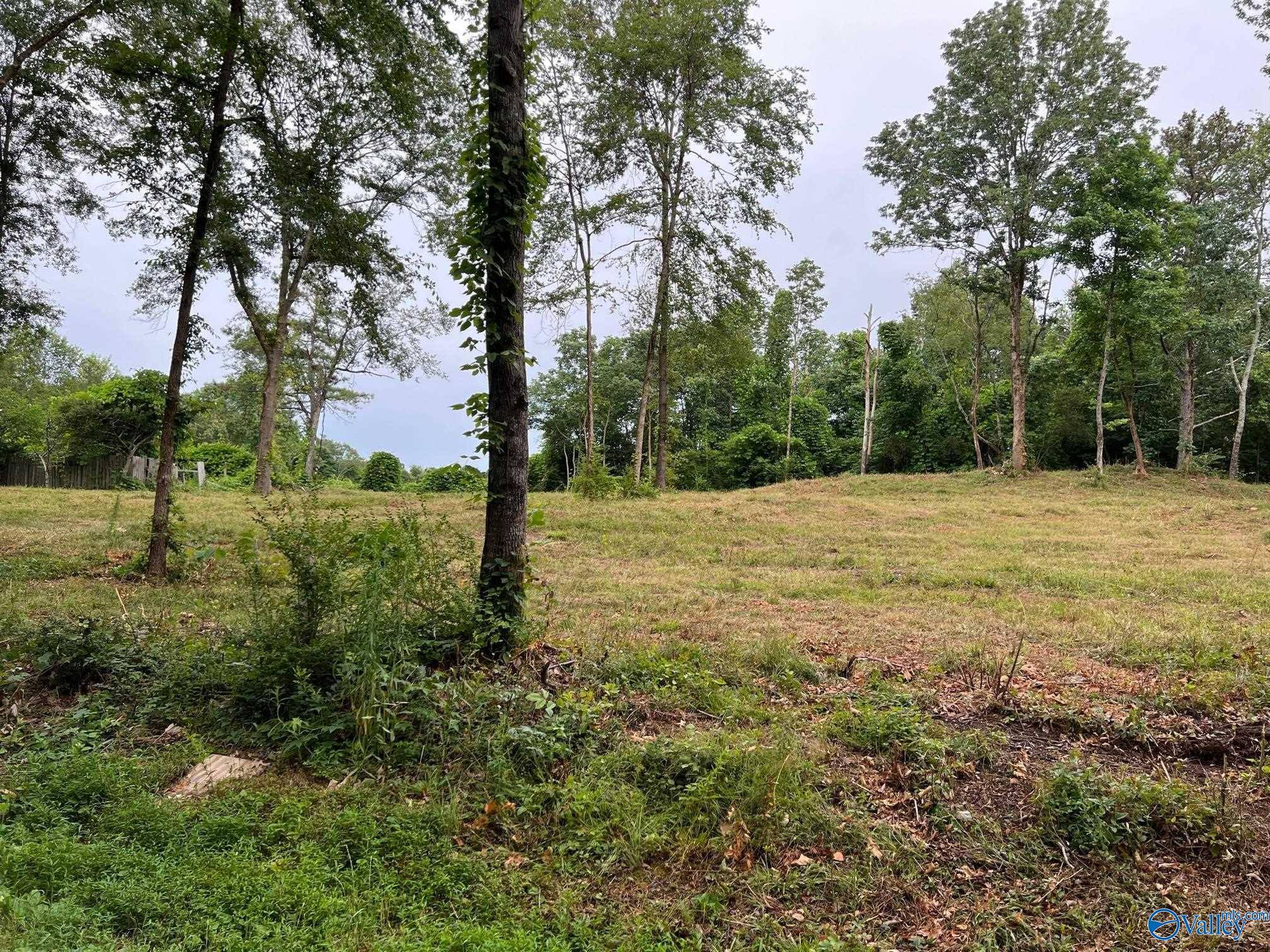 Guntersville, AL 35976,Lot 3 Cherrywood Drive