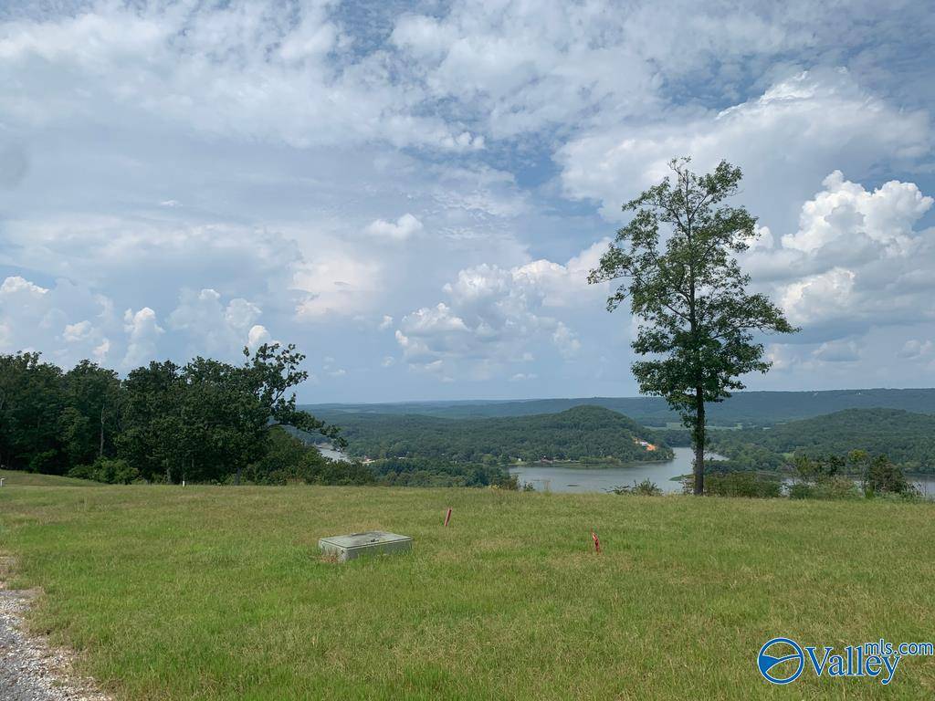 Cedar Bluff, AL 35959,Lot 224 County Road 767 ##224