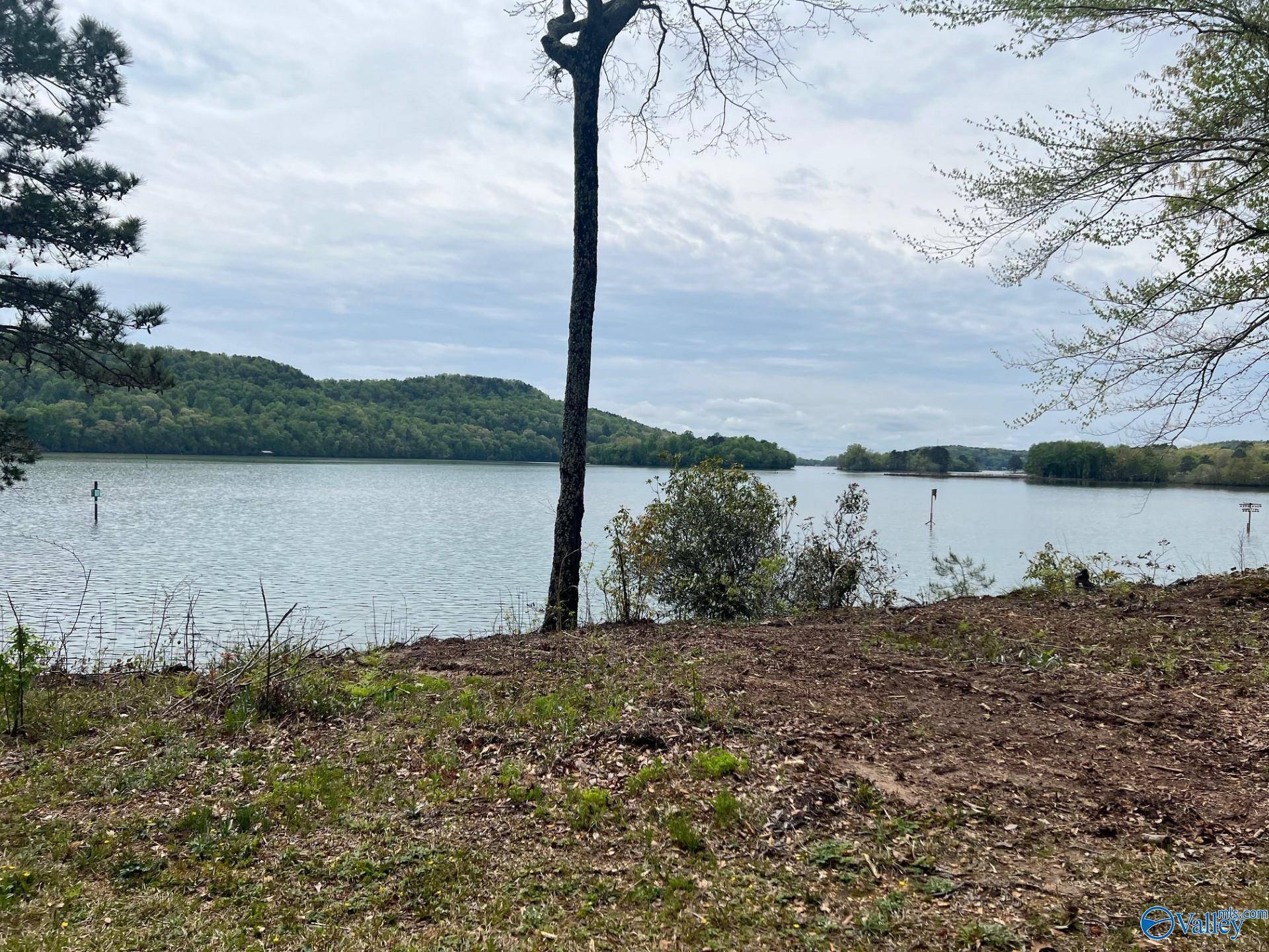 Cedar Bluff, AL 35959,Lot 1 Little River Landing