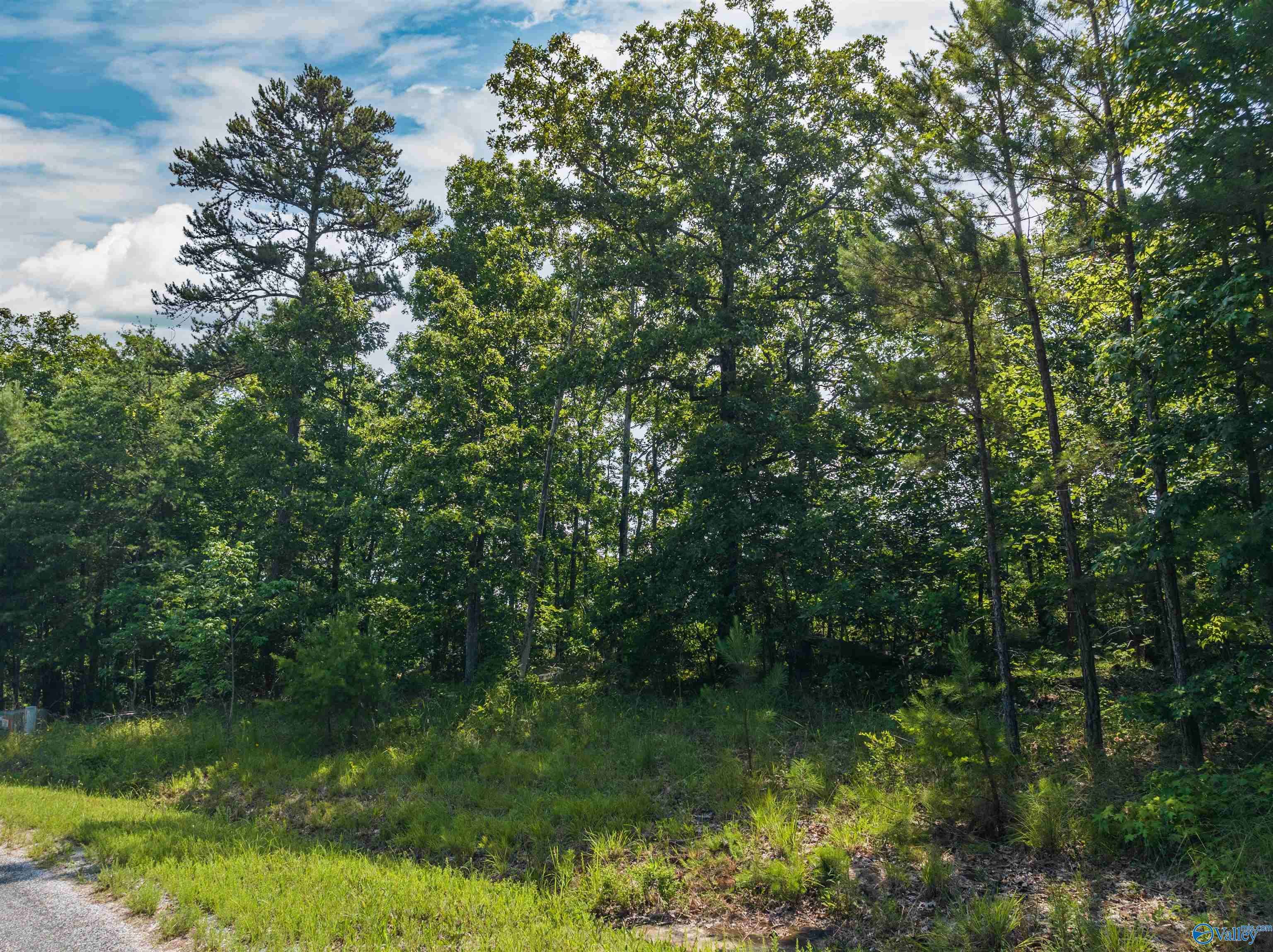 Leesburg, AL 35983,Lot 3 County Road 674