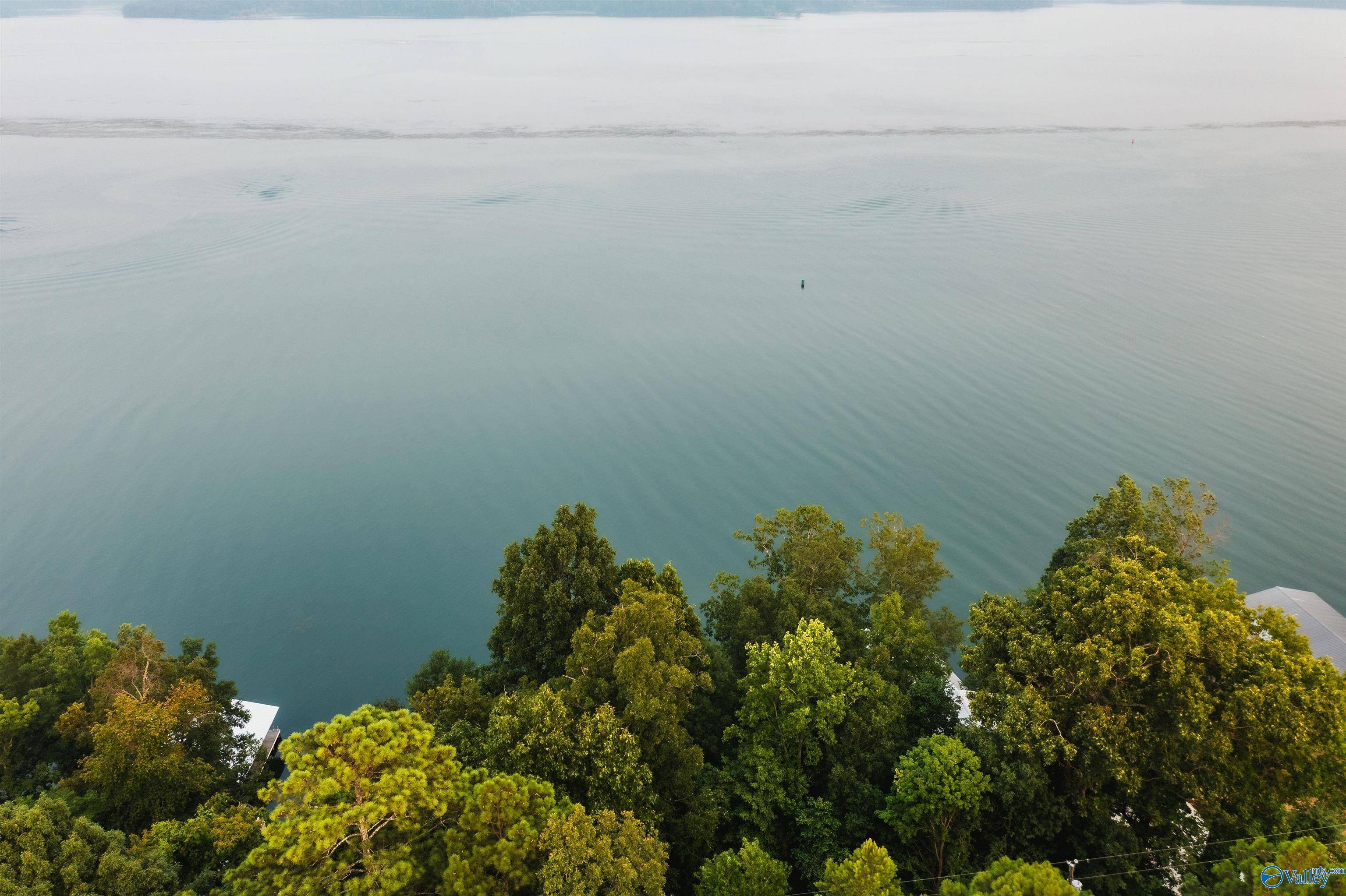 Scottsboro, AL 35769,Lot 31 Pine Island Point