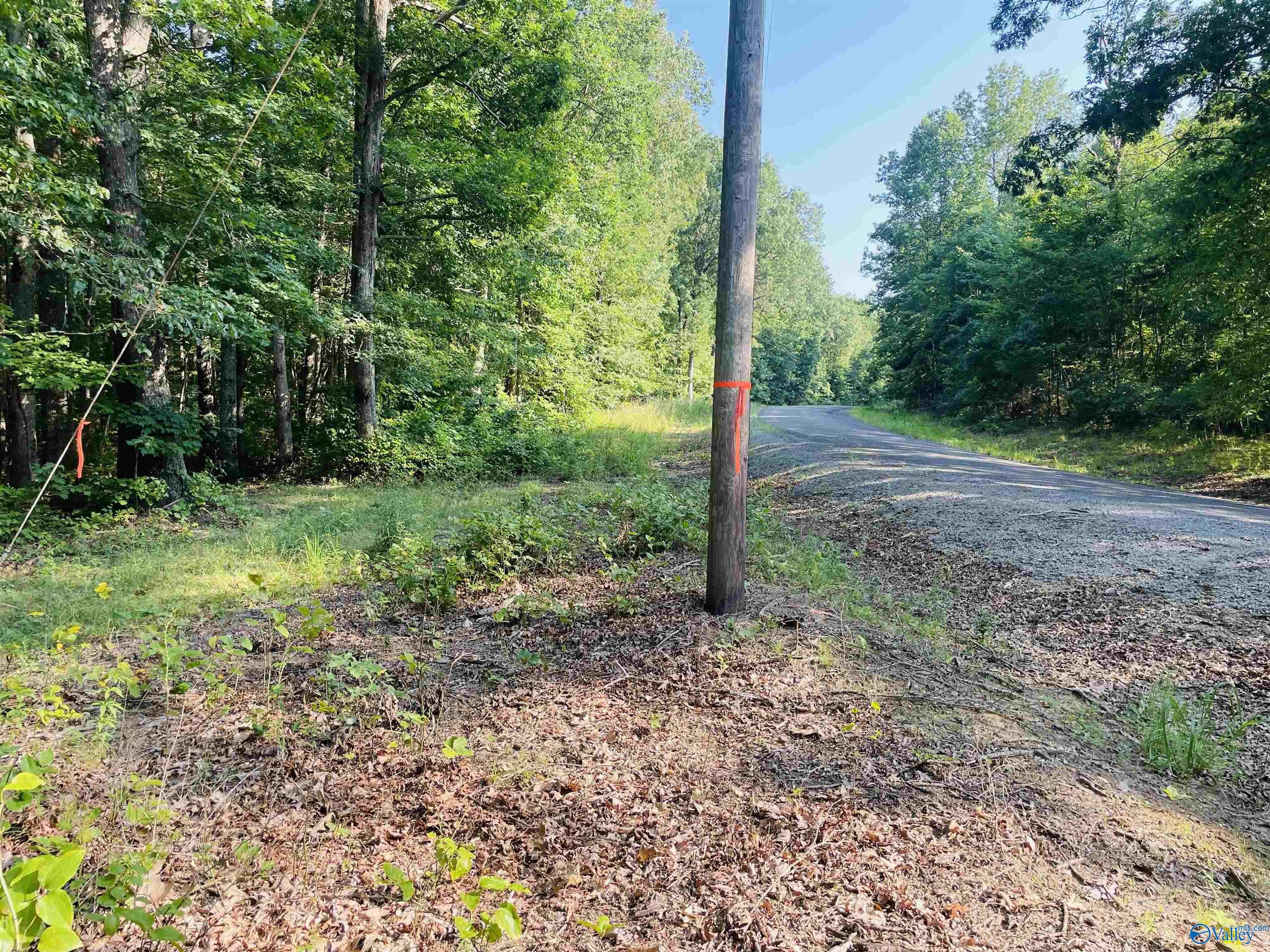 Princeton, AL 35766,120 Ac County Road 303