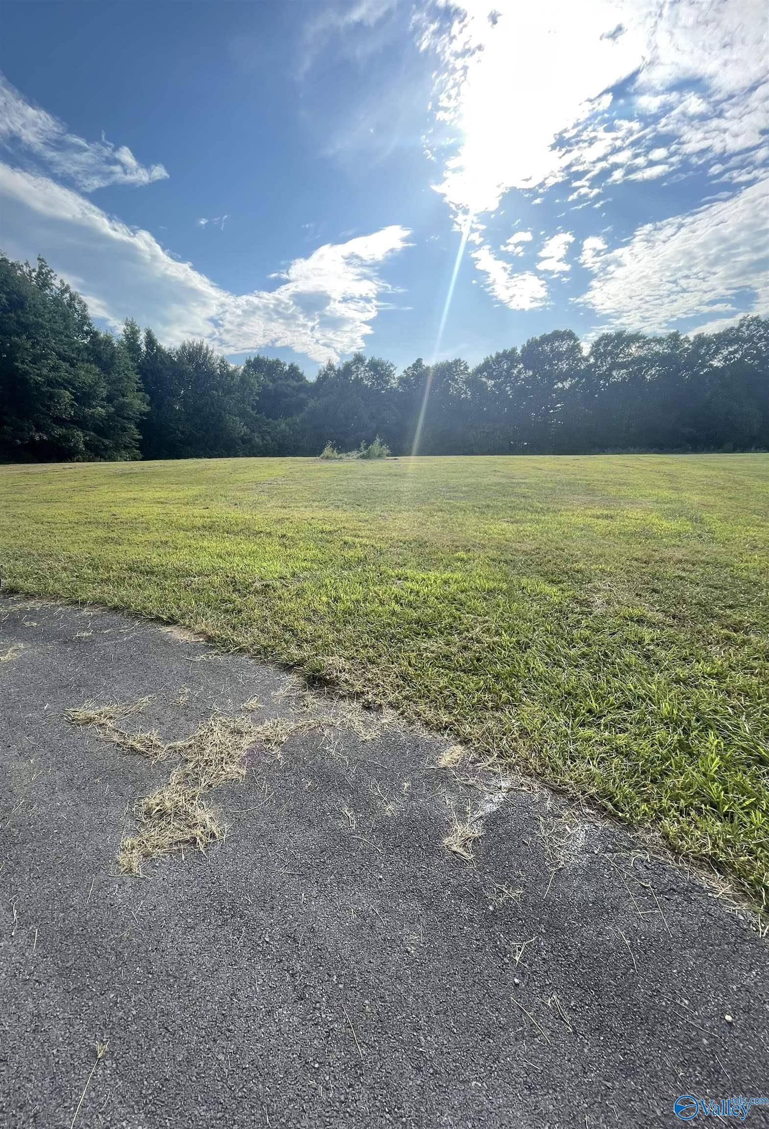 Fyffe, AL 35971,Lot 7 Graben Drive