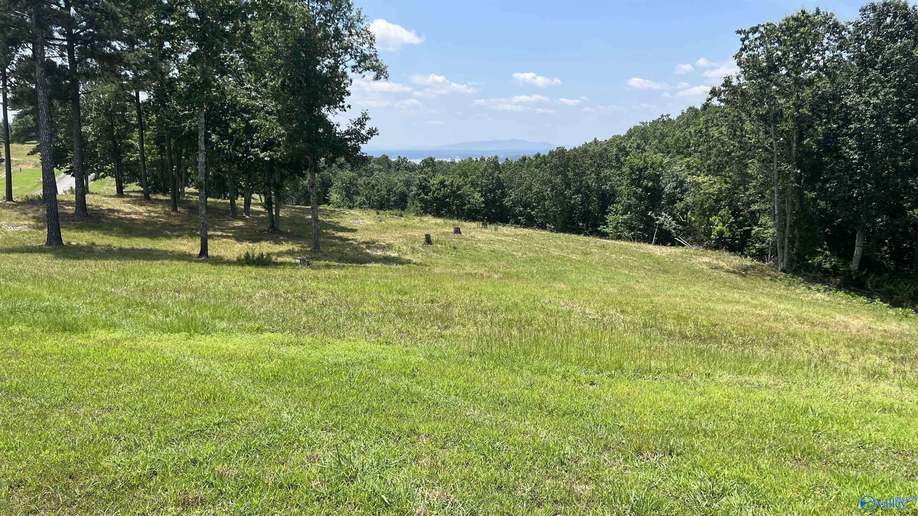 Cedar Bluff, AL 35959,Lot 52 County Road 767 #Lot #52