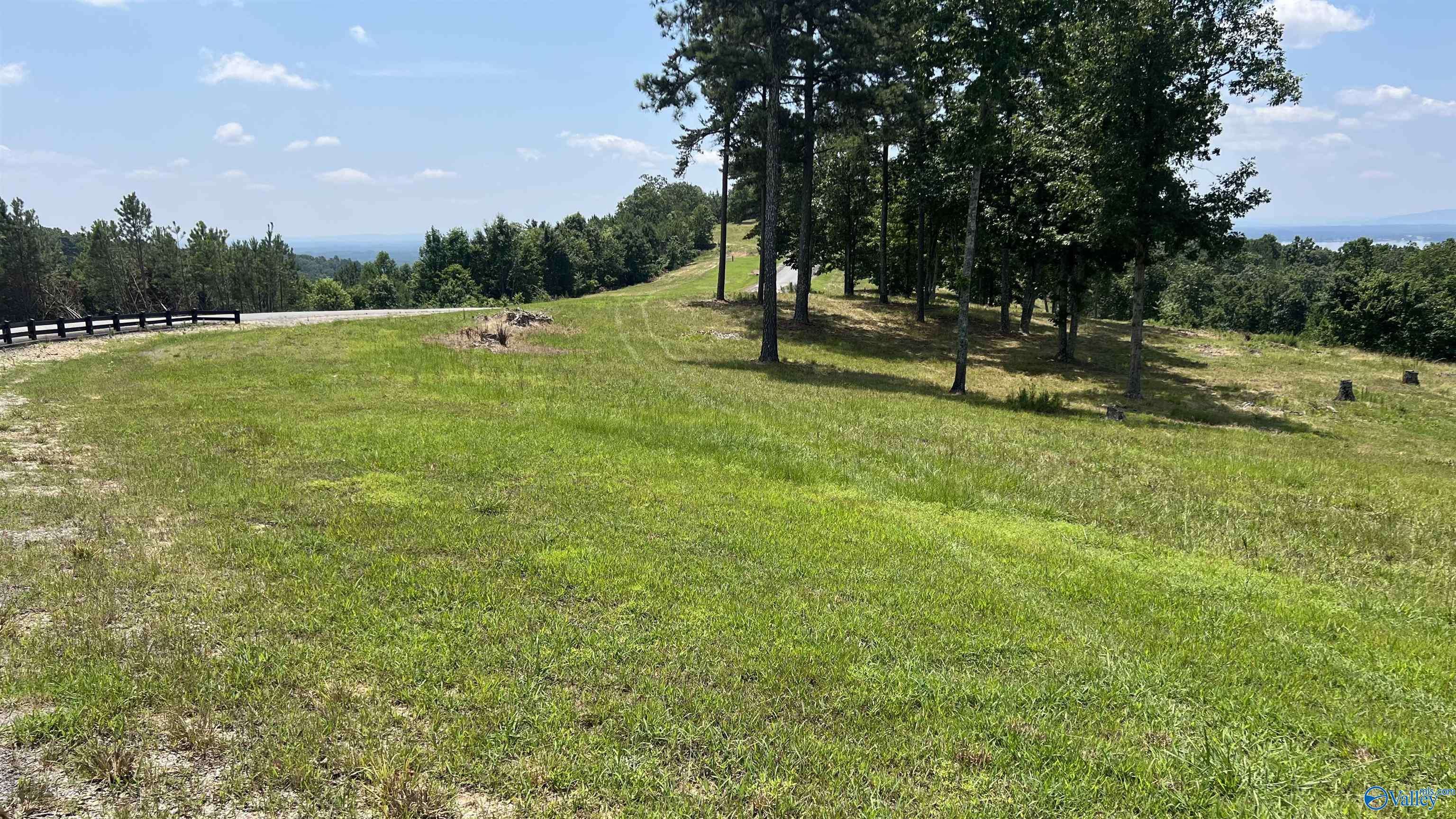 Cedar Bluff, AL 35959,Lot 52 County Road 767 #Lot #52