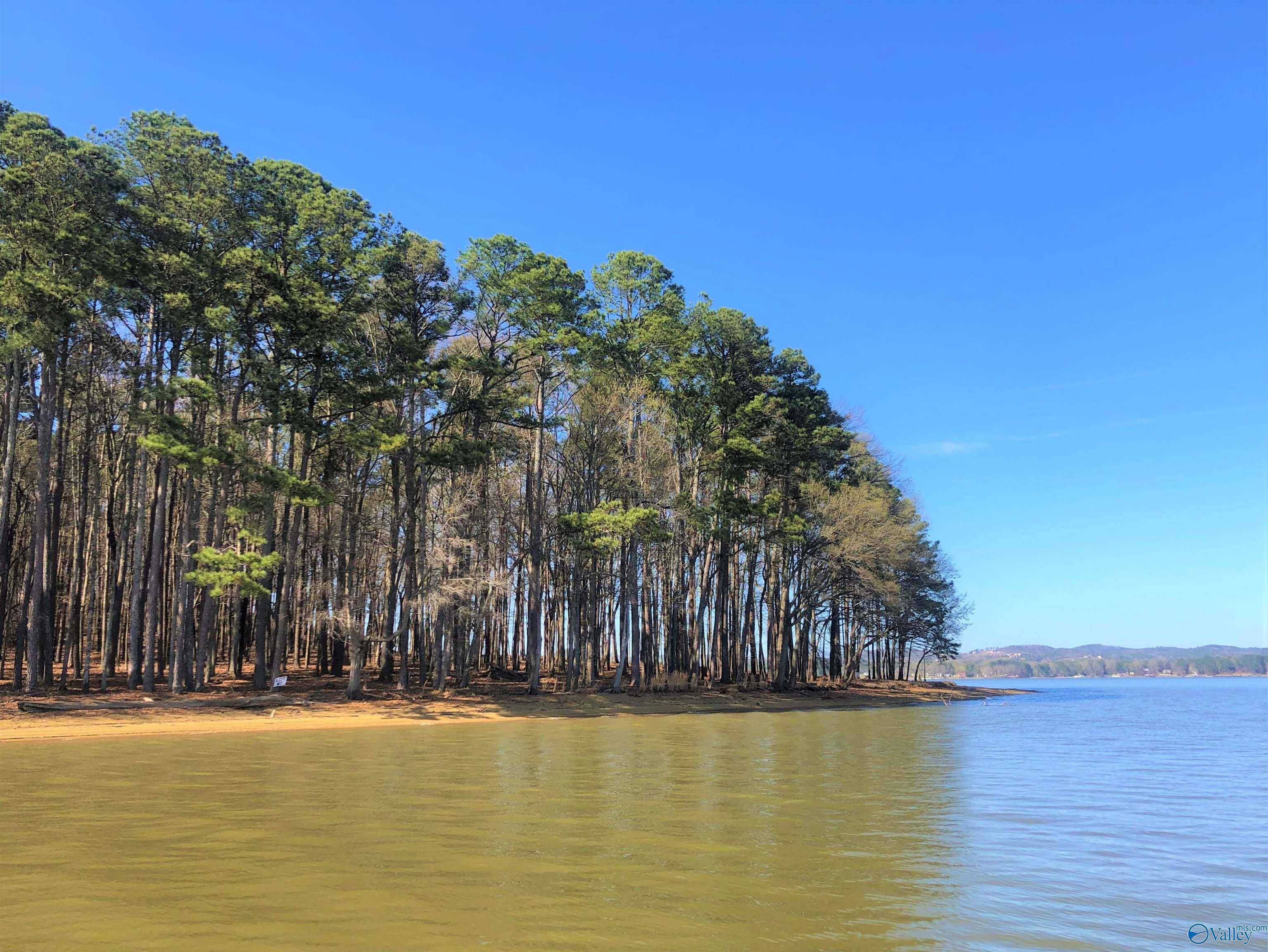 Cedar Bluff, AL 35959,Lot 5 Little River Landing