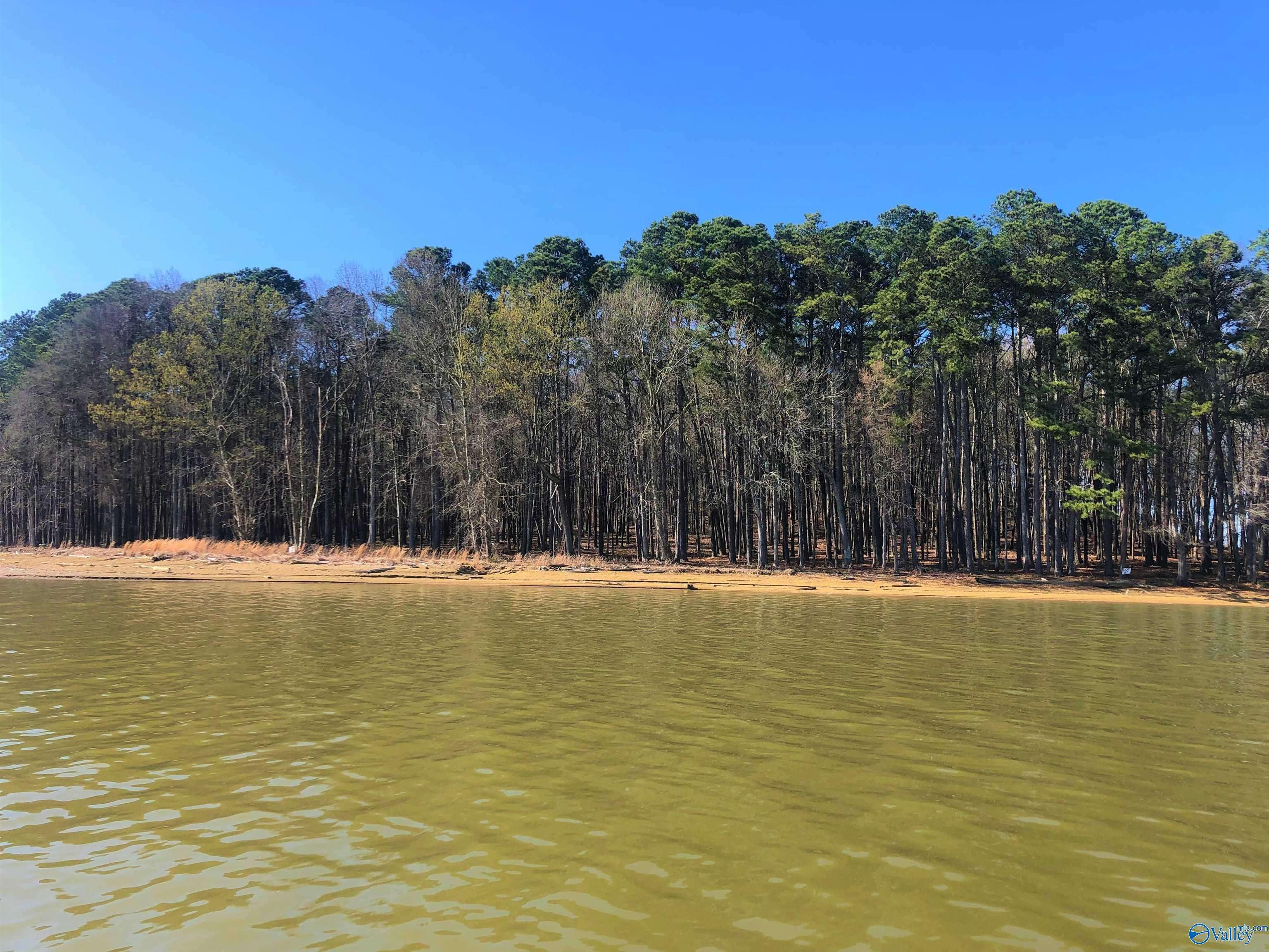 Cedar Bluff, AL 35959,Lot 6 Little River Landing