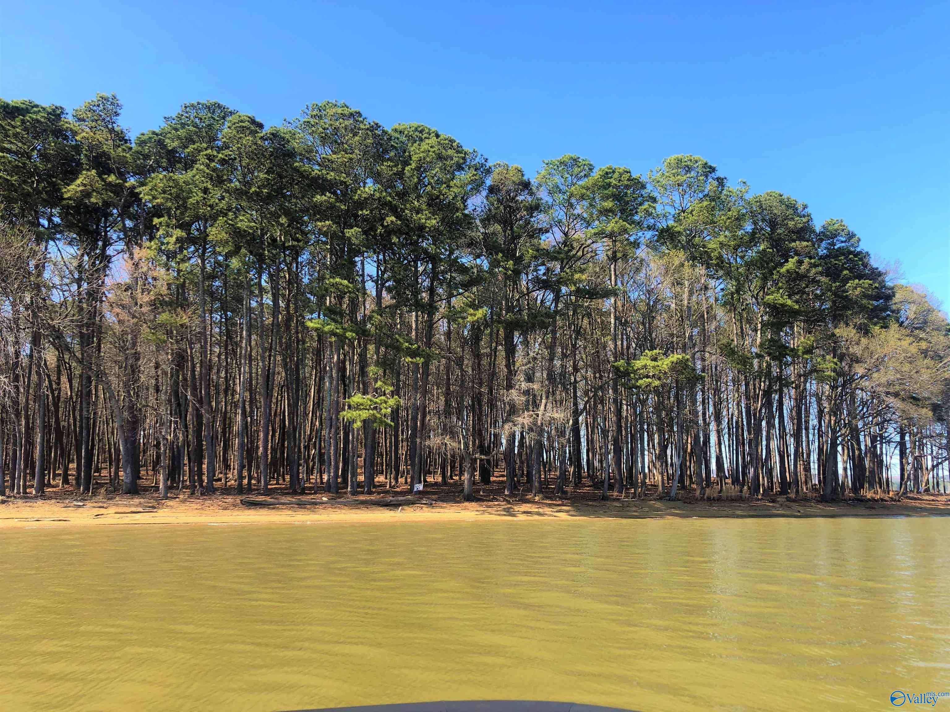 Cedar Bluff, AL 35959,Lot 6 Little River Landing