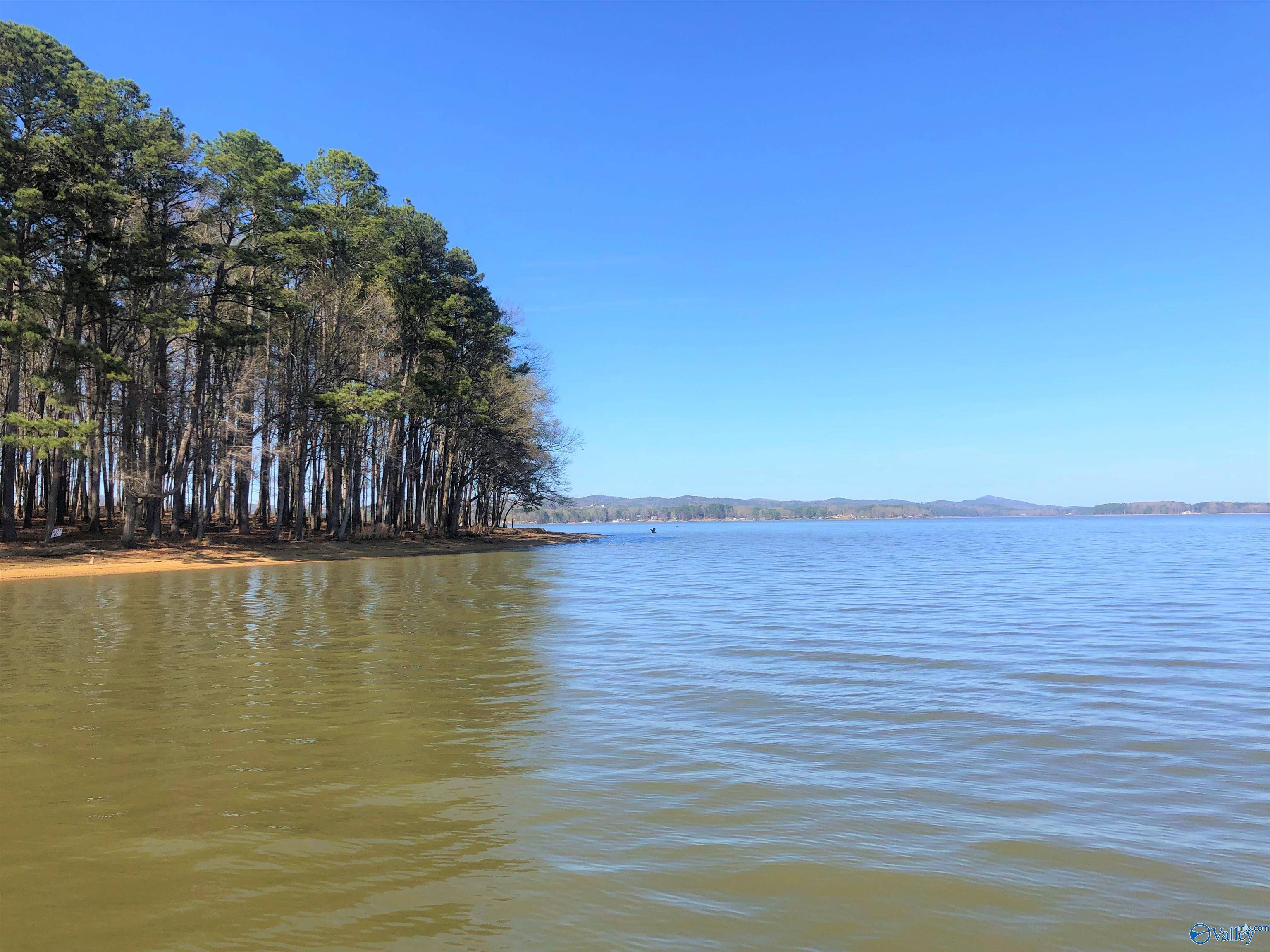 Cedar Bluff, AL 35959,Lot 6 Little River Landing