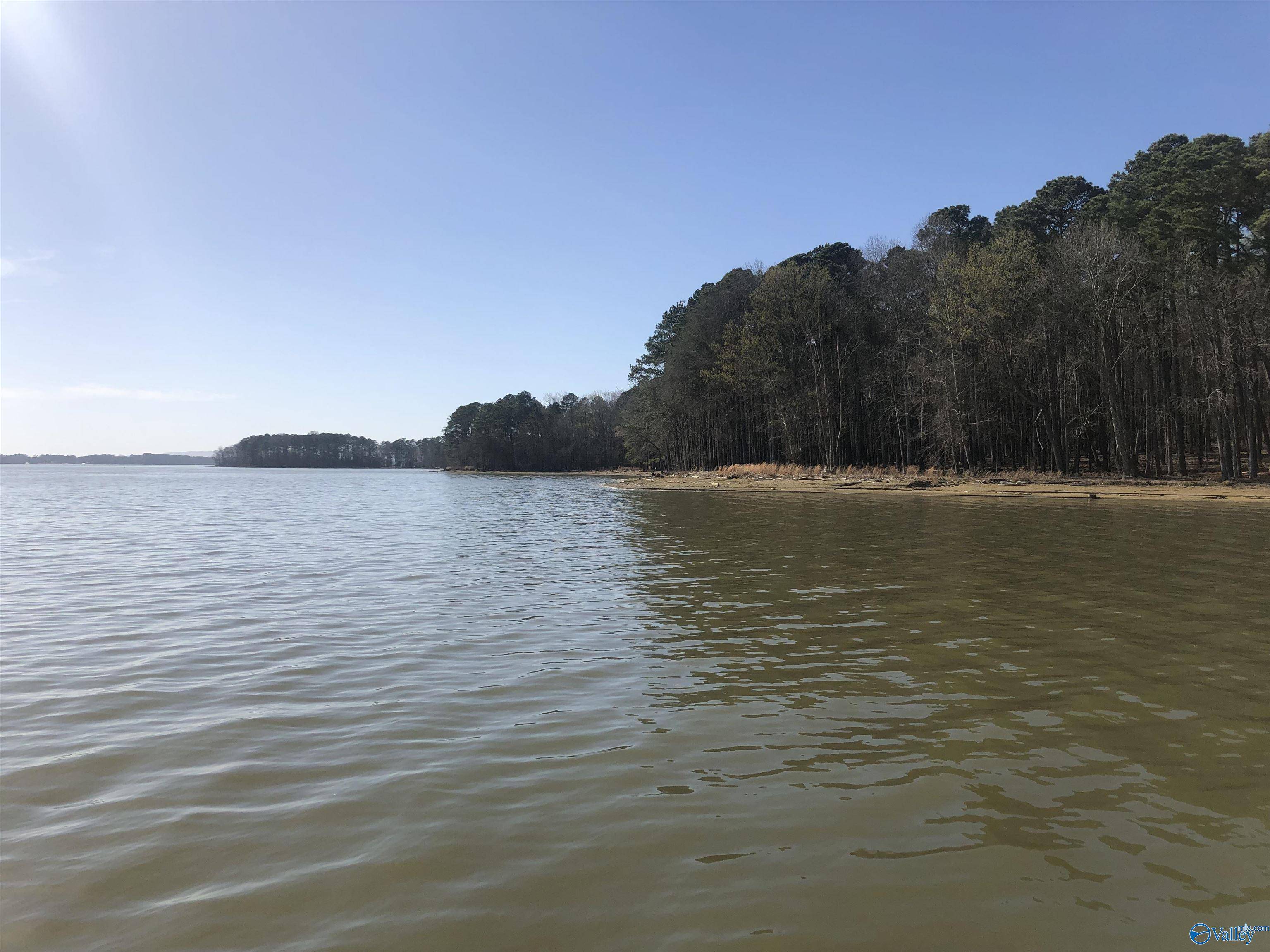 Cedar Bluff, AL 35959,Lot 7 Little River Landing