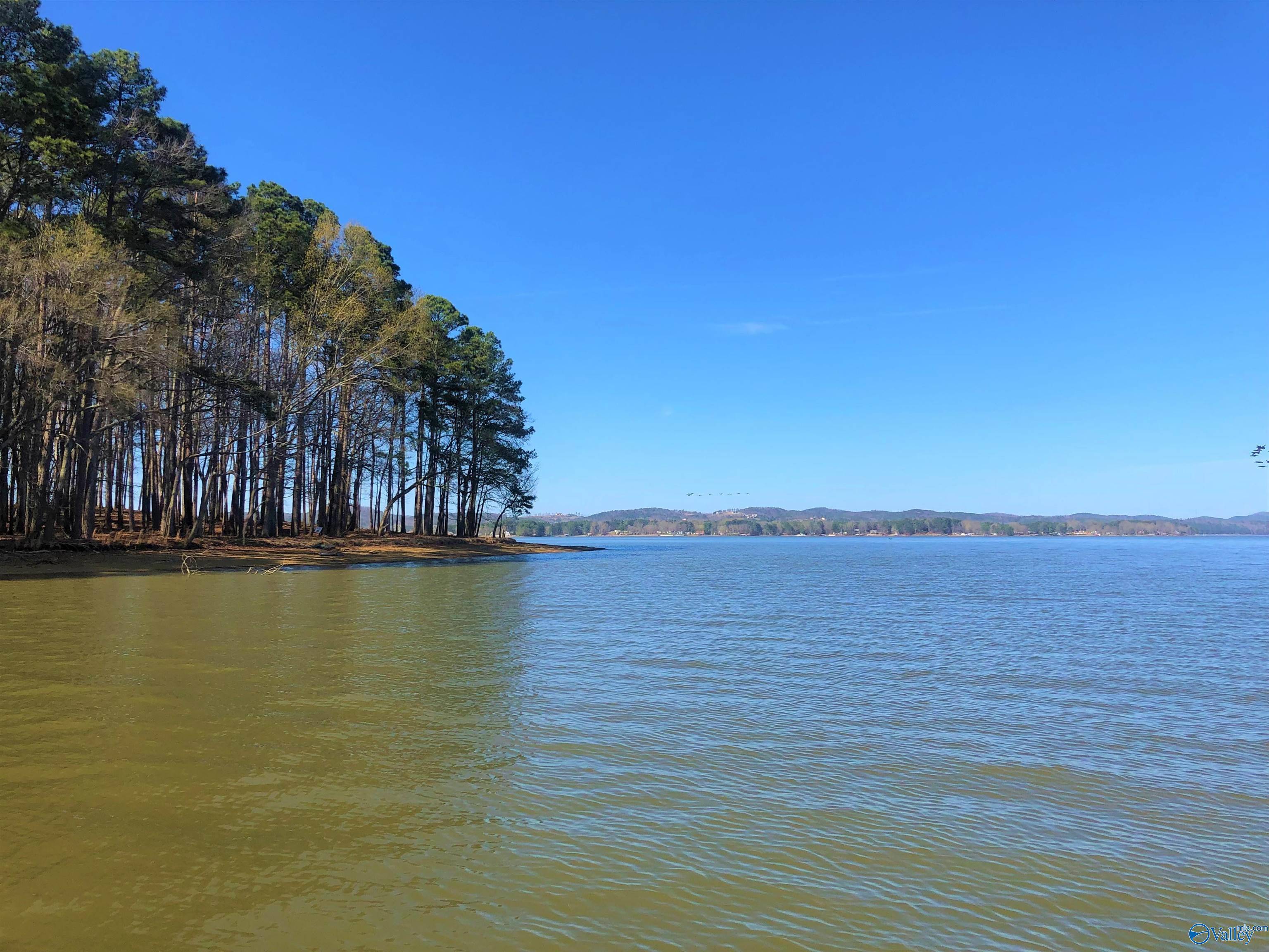 Cedar Bluff, AL 35959,Lot 7 Little River Landing