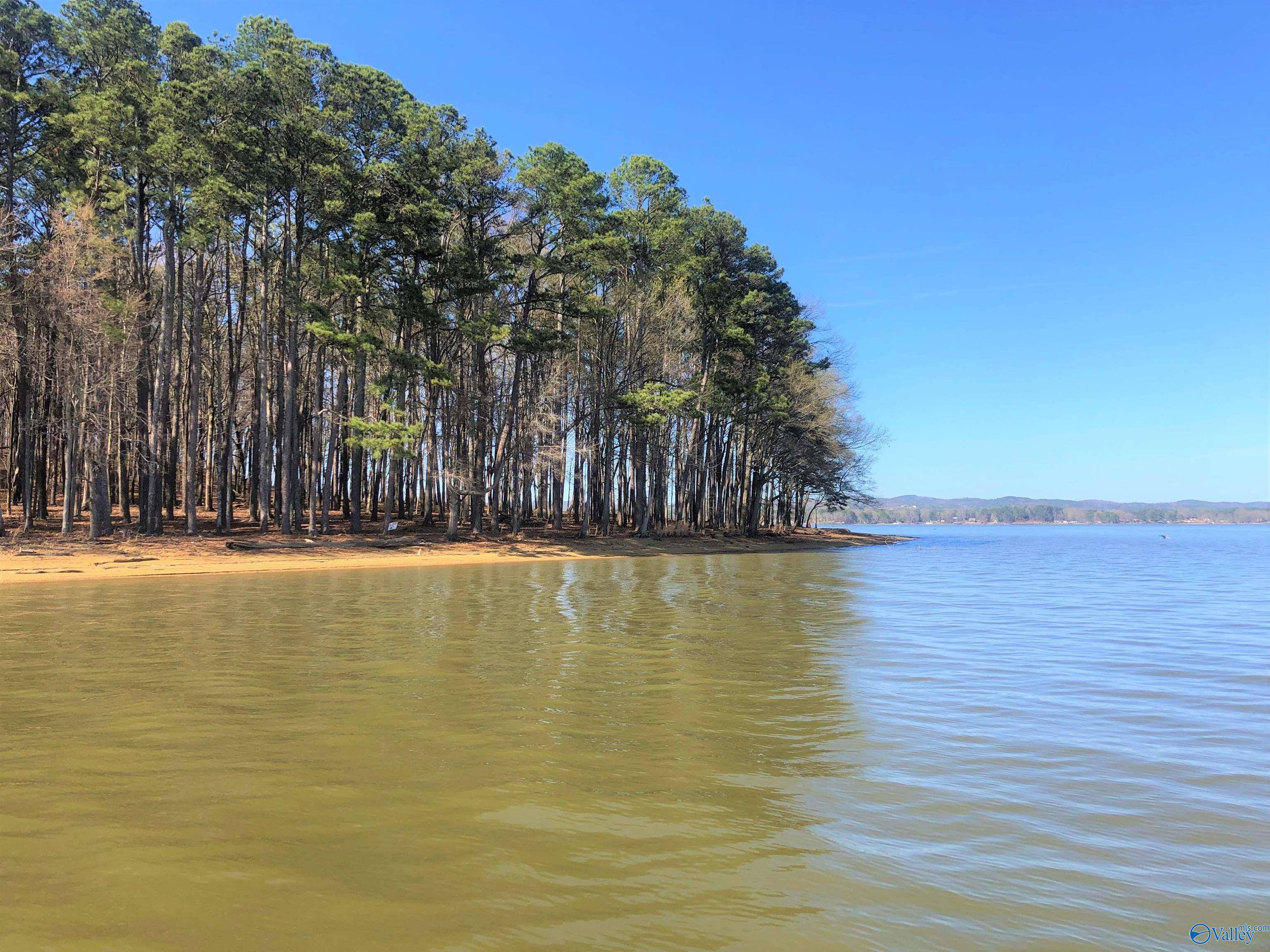 Cedar Bluff, AL 35959,Lot 10 Little River Landing