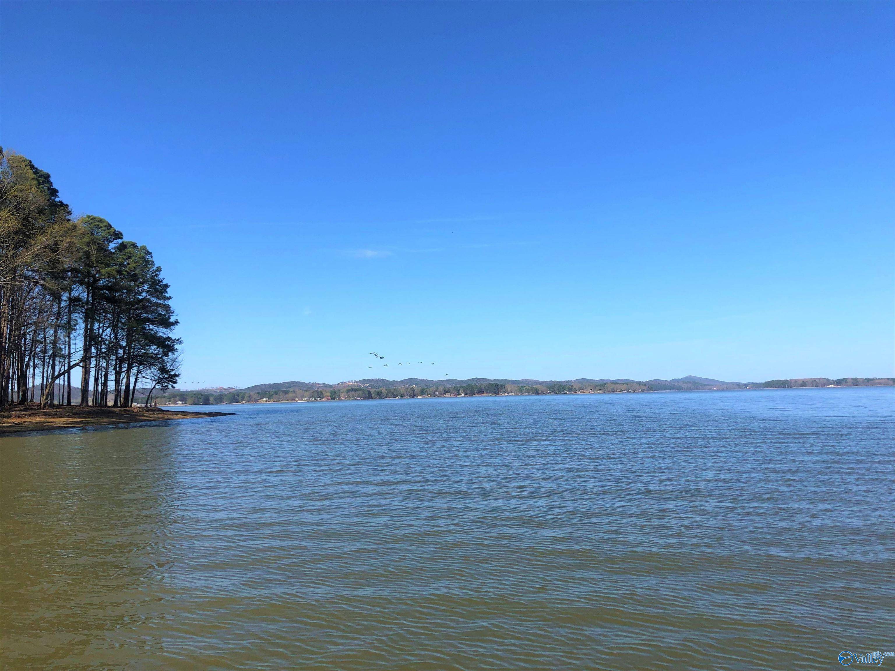 Cedar Bluff, AL 35959,Lot 10 Little River Landing