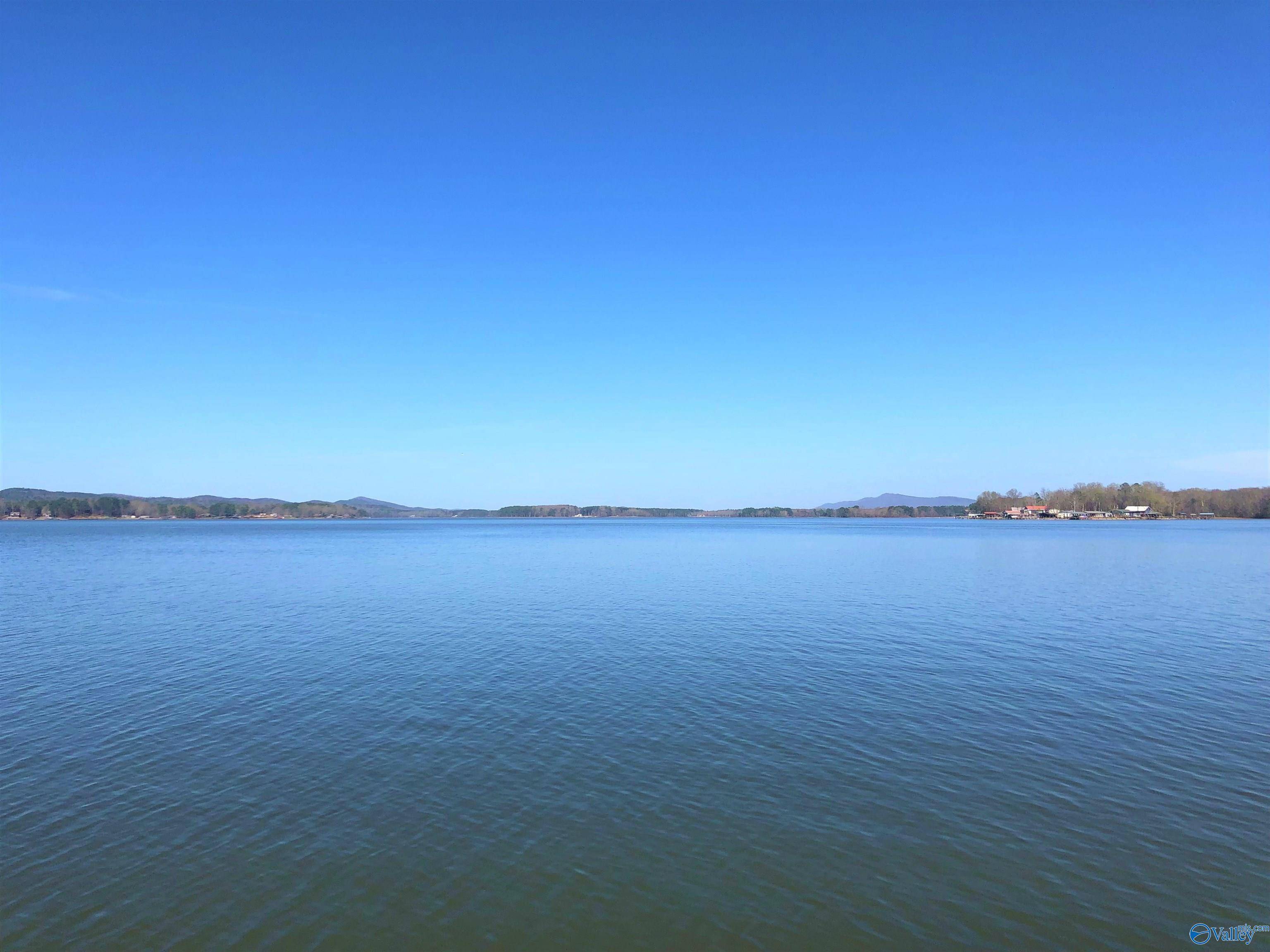 Cedar Bluff, AL 35959,Lot 10 Little River Landing