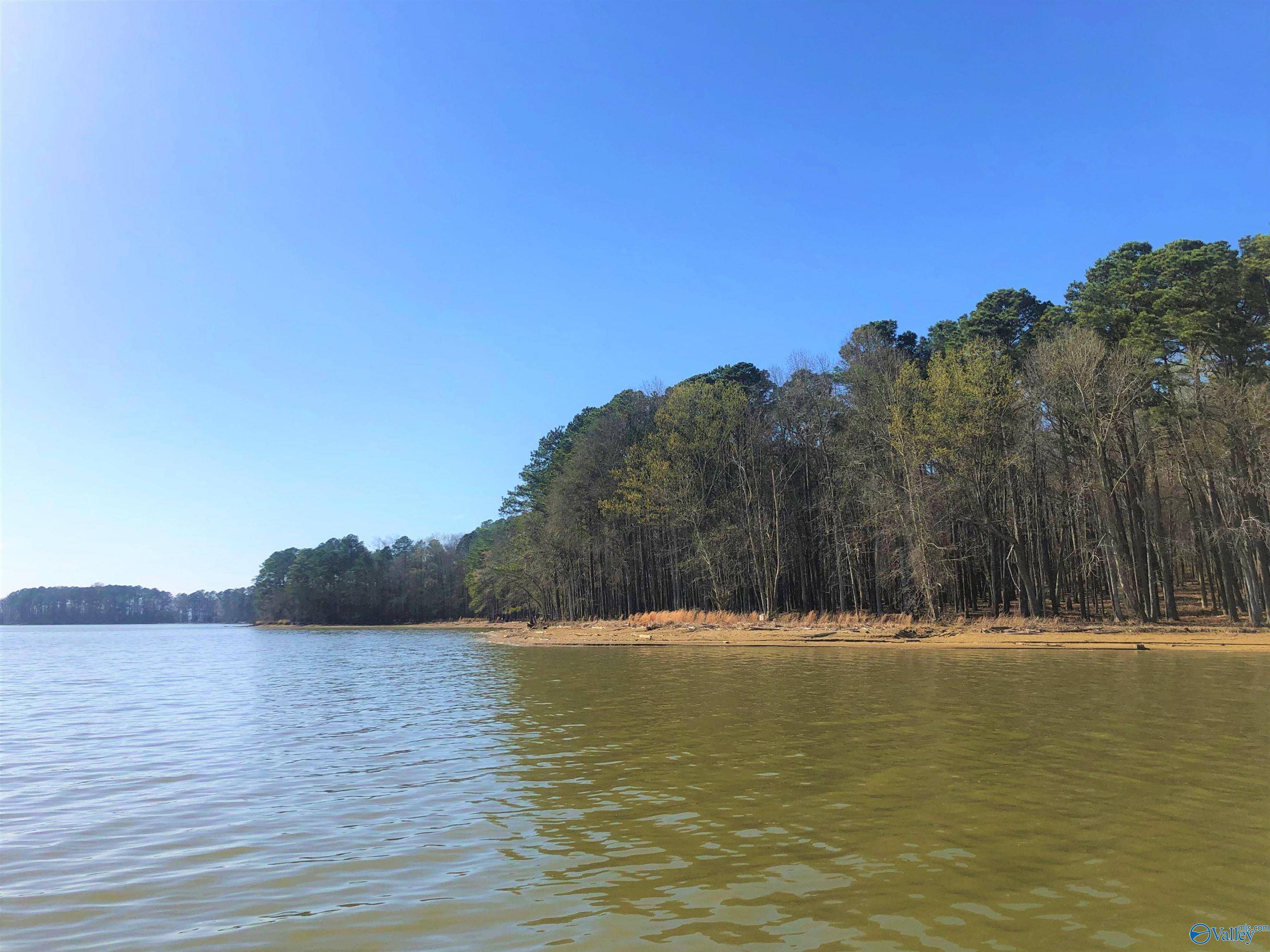 Cedar Bluff, AL 35959,Lot 13 Little River Landing